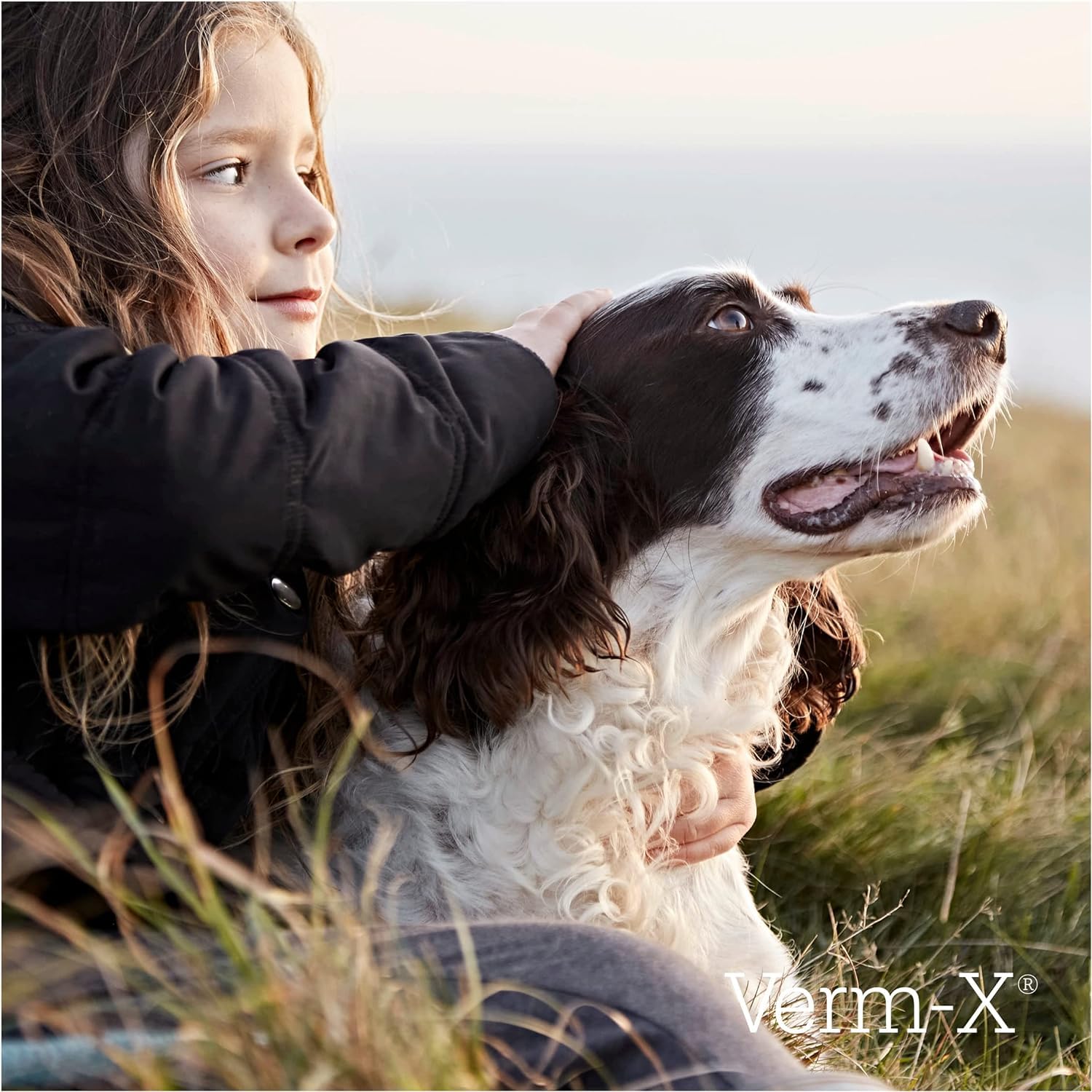 Verm-X All Natural Dog Treats - 650g Bag | Supports Intestinal Hygiene | Chicken Flavor 6