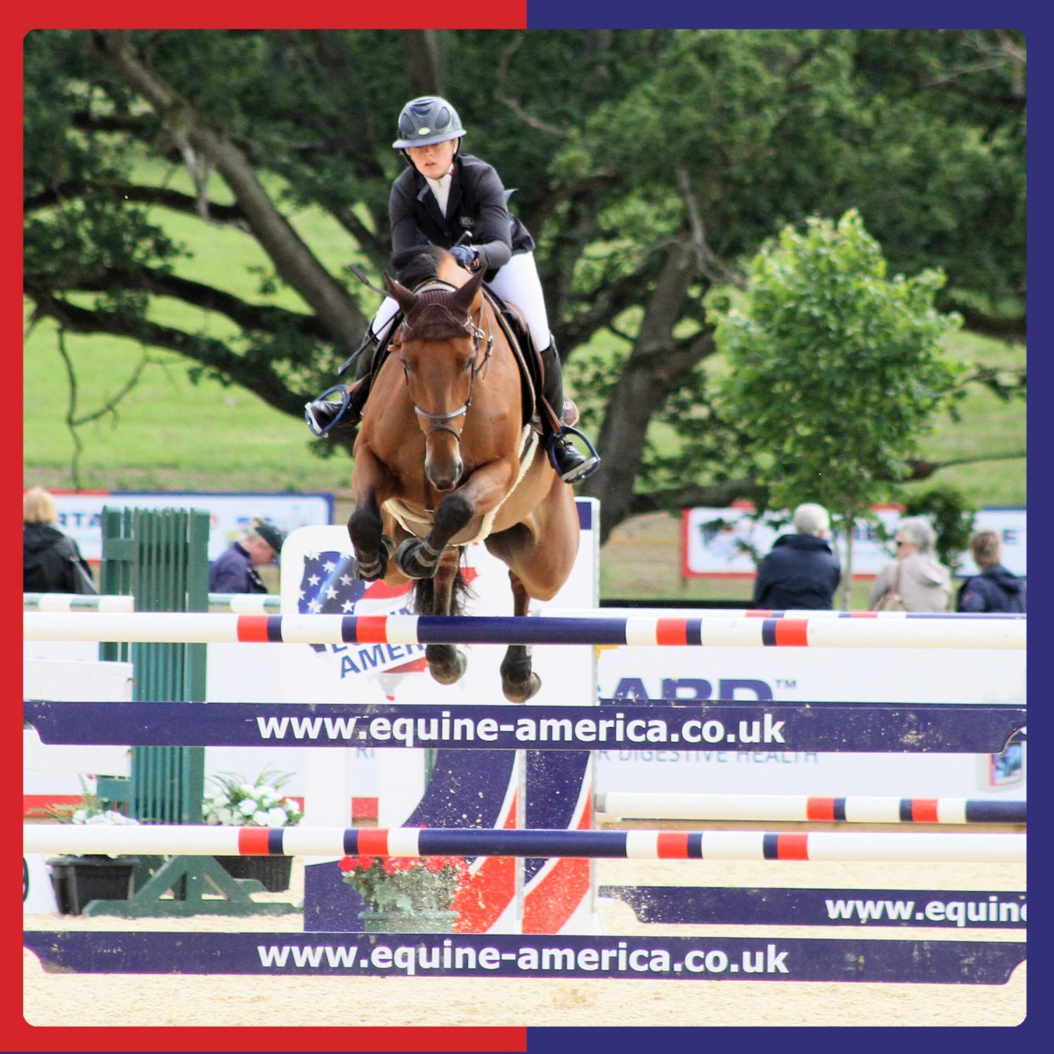 Equine America Glucosamine HCI 12000 - Supports Healthy Joints in Horses & Ponies | 1 kg 3