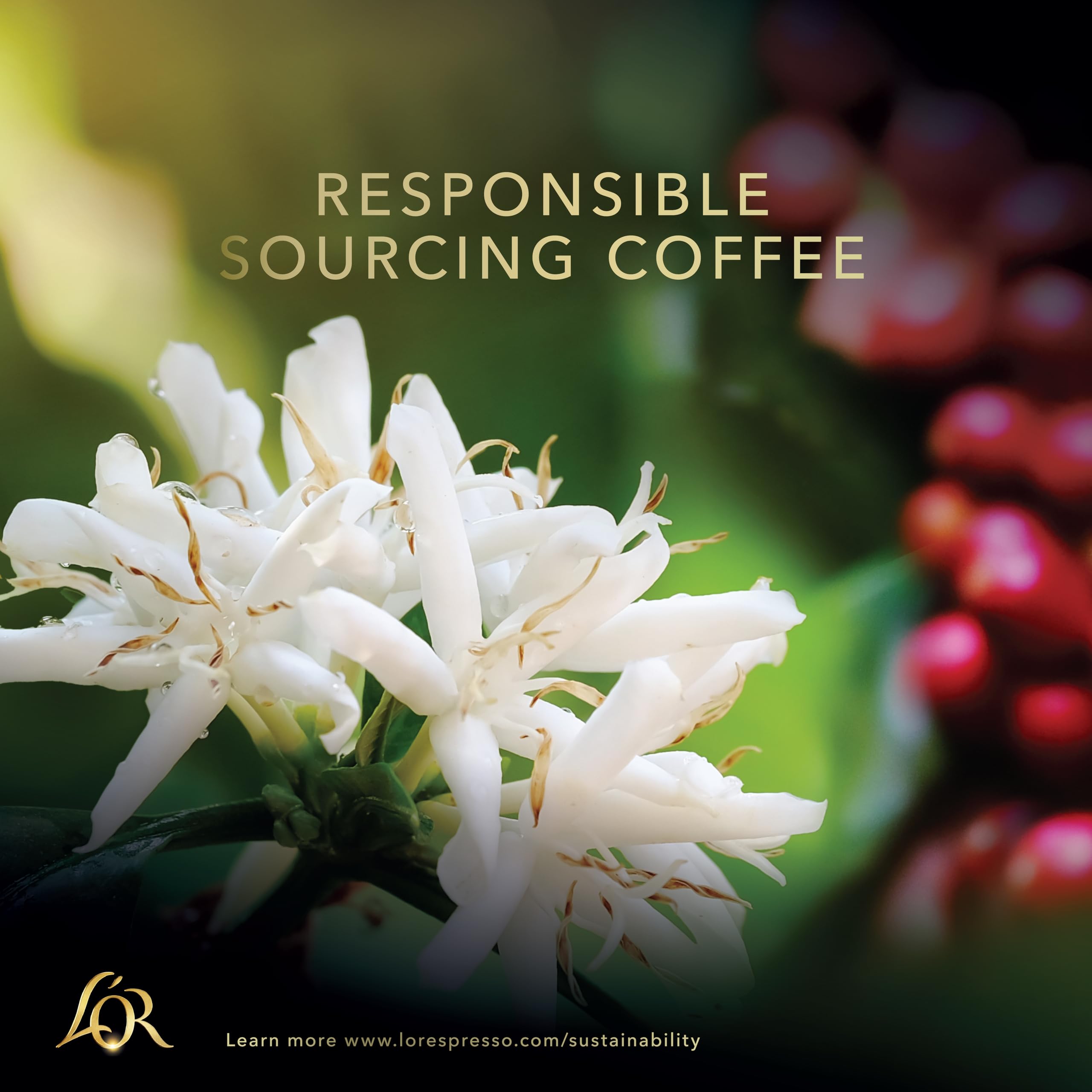 L'OR Origins Colombia Coffee Pods x10 (Pack of 10, 100 Capsules) 3