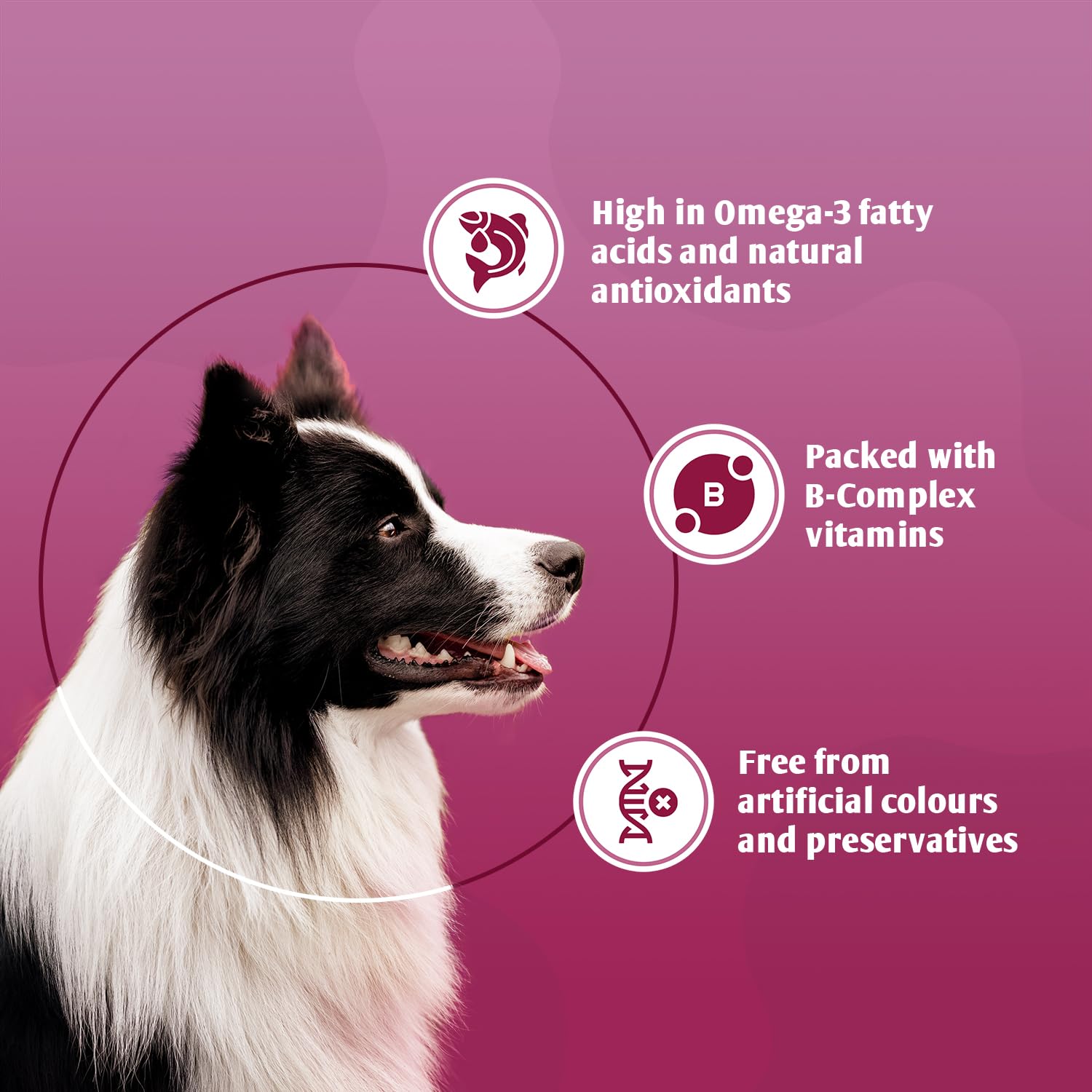 8in1 Brewer's Yeast Dog Supplement for Skin & Coat Care | 260 Tablets | B-Vitamins & Omega-3 3