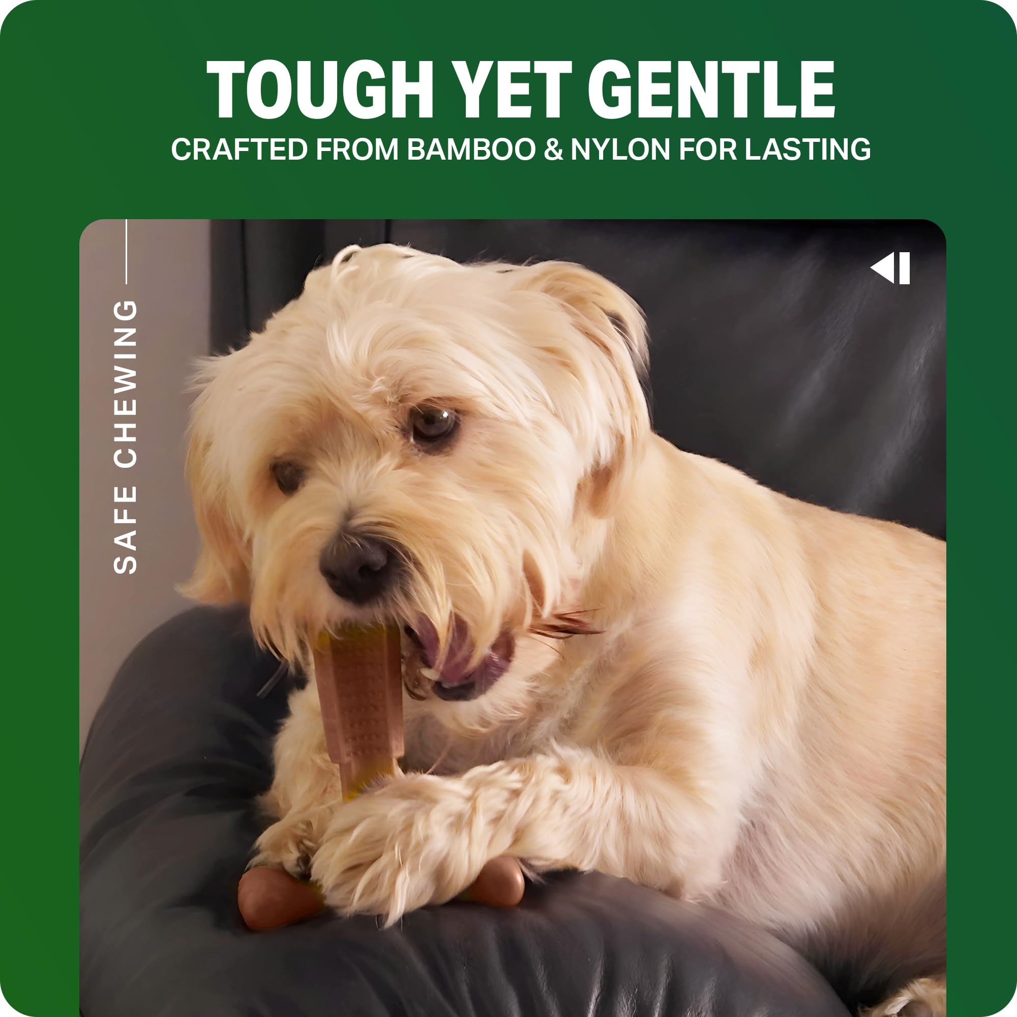 Bamboodles Dog Chew Toy - Small Size | Beef Flavour | Durable Nylon & Bamboo Fibre 6
