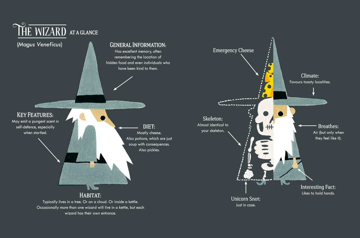 Puffin The Beginner's Guide to Being a Wizard - Paperback, Ages 4–7