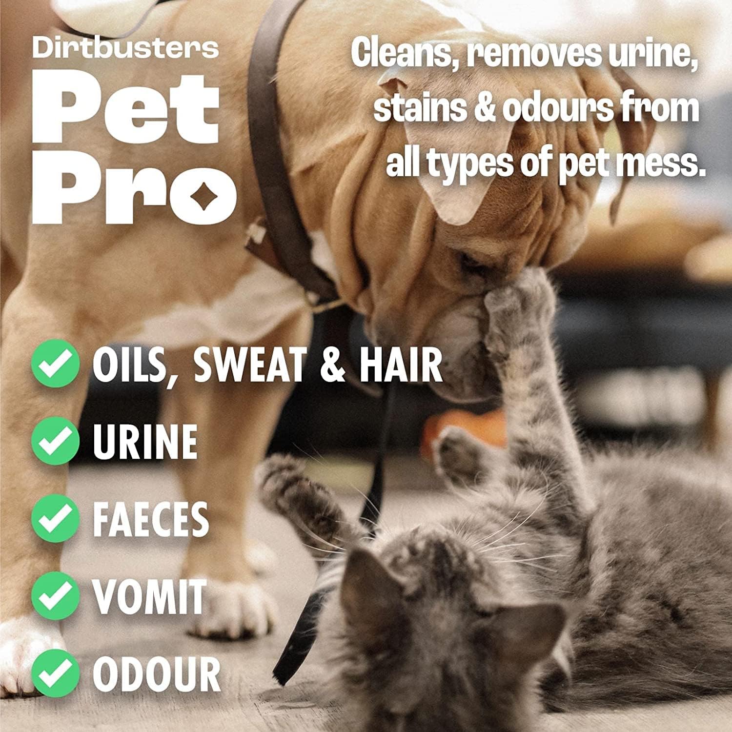 Dirtbusters - Pet Pro Carpet Cleaner Shampoo (1 Litre Concentrate) 4