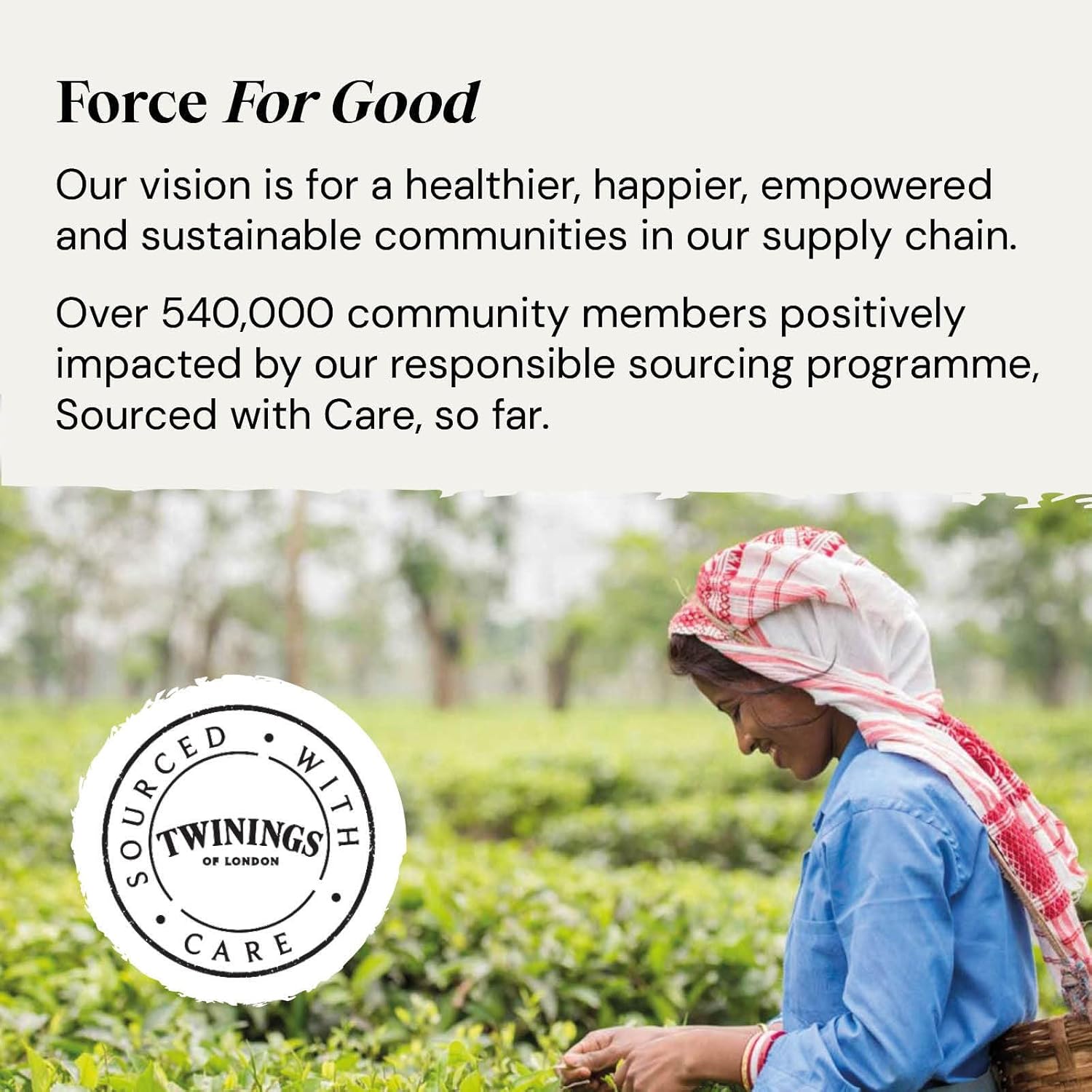 Twinings Superblends Glow Tea - Strawberry & Cucumber Green Tea with Aloe Vera & Biotin (20 Bags) 5