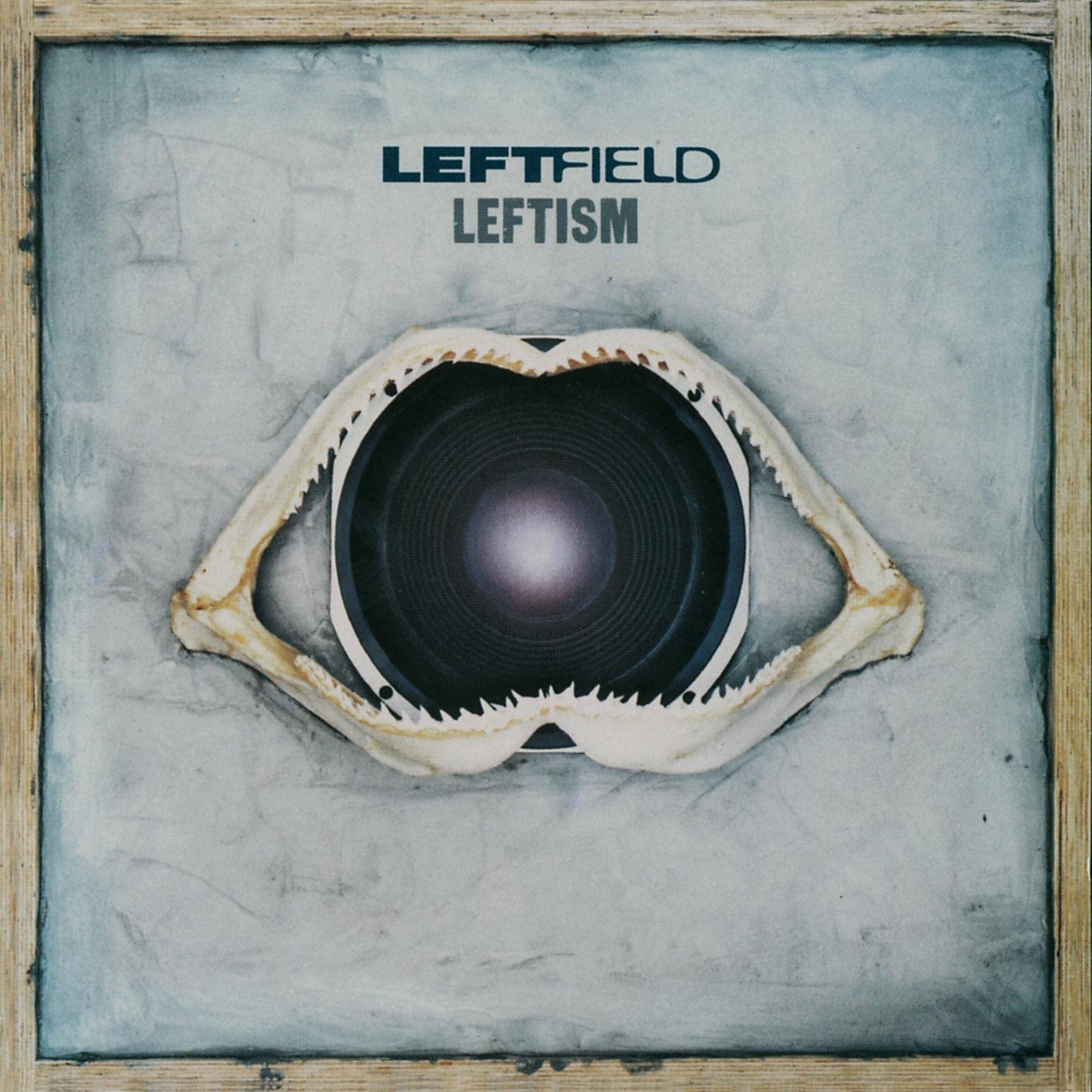 Leftfield - Leftism [VINYL] 4