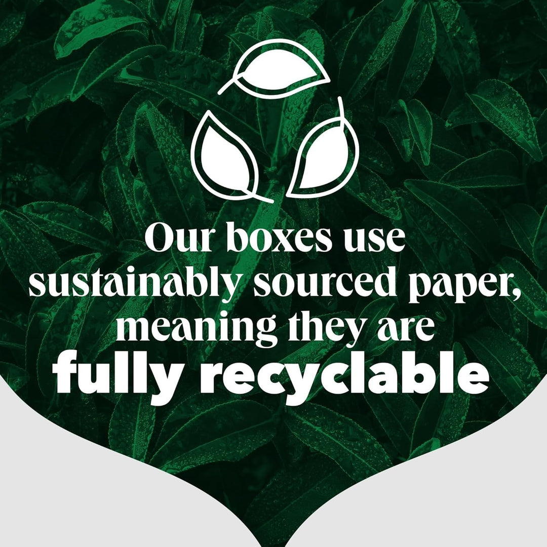 PG Tips - Original 80 Tea Bags 232g
