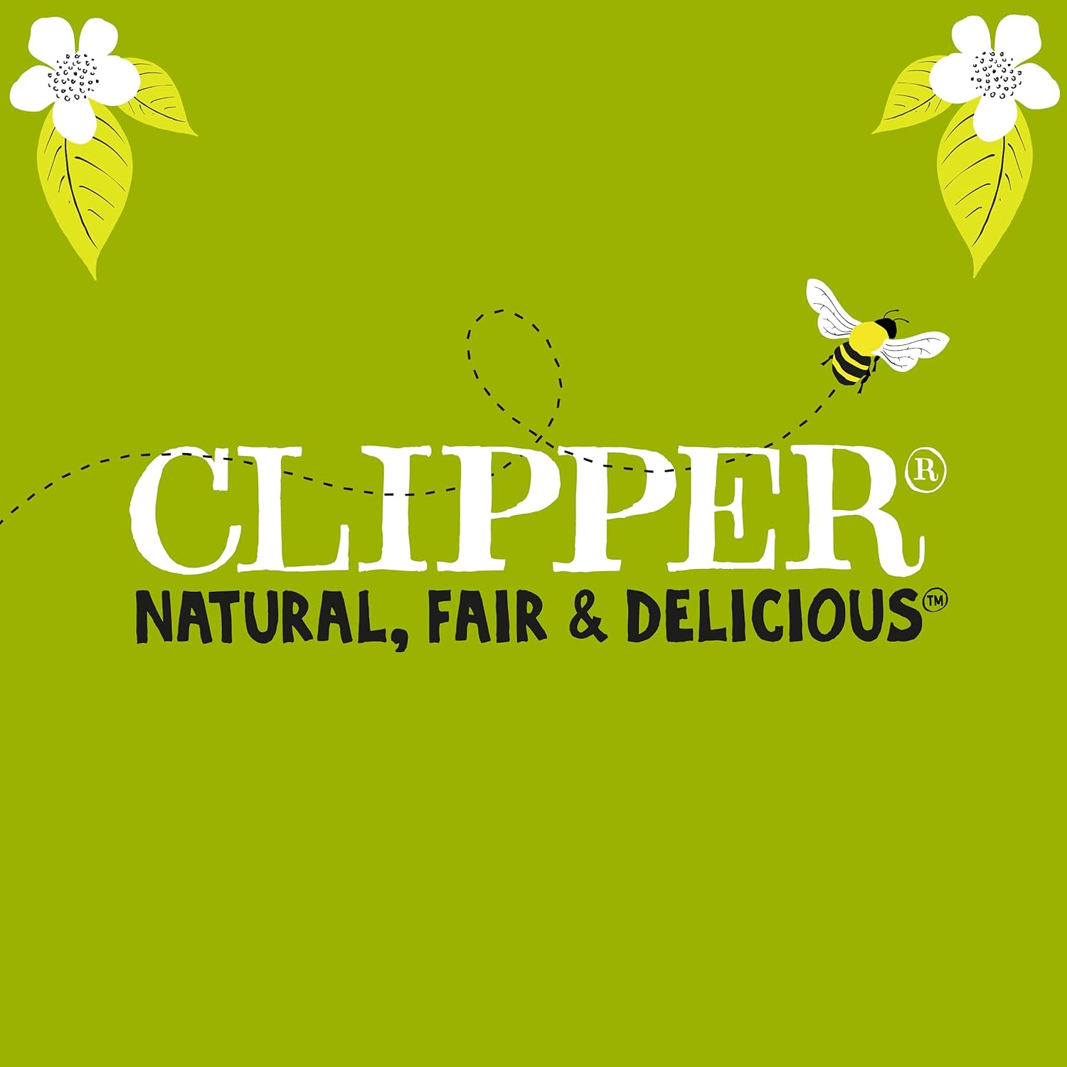 Clipper Organic Everyday Fairtrade Teabags | 80 Black Tea Bags | Unbleached, Biodegradable 3