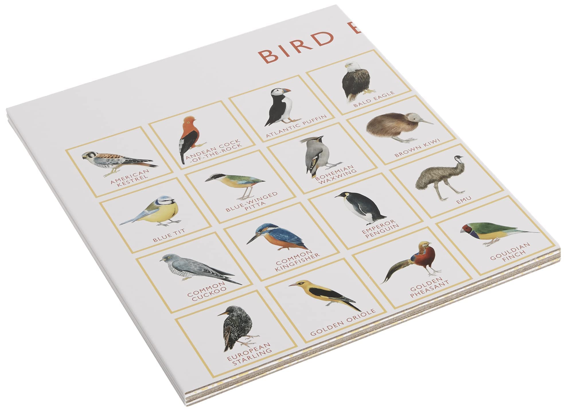 Laurence King Bird Bingo - Educational Game for Children/Juvenile | Multicolor | Cardstock 3