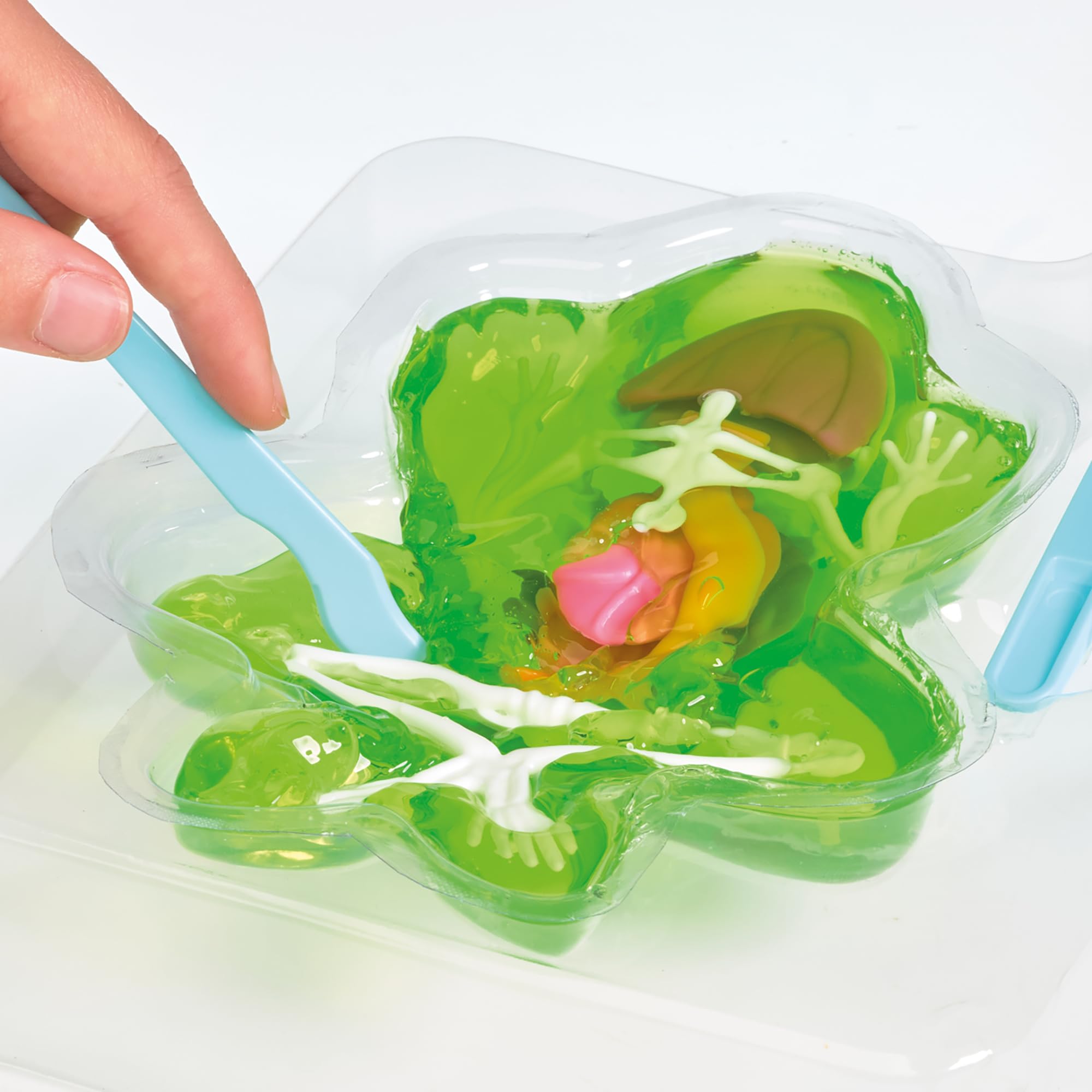 Science Mad Squishy Dissectables 2 Pack - Frog & Bat Anatomy Kit | STEM Learning 3