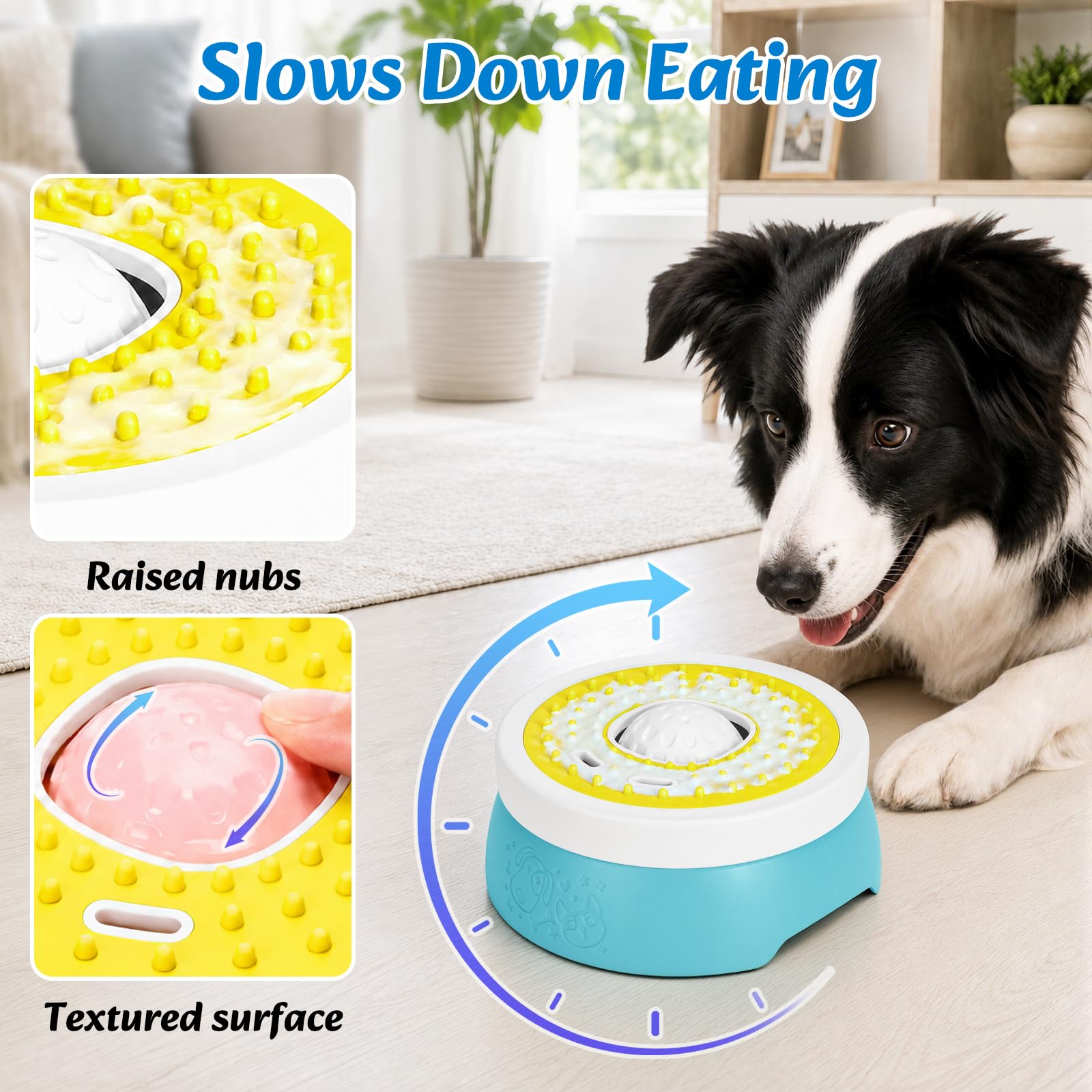 Euqvunn Slow Feeder Dog Bowl with Screw Lid | 260ml Capacity | Blue & Yellow 2