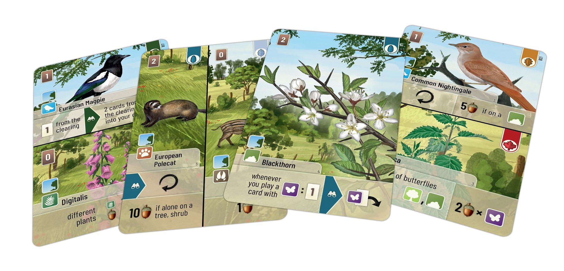 Lookout Forest Shuffle: Woodland Edge Card Game Expansion | Ages 10+ | 2-5 Players | 60+ Minutes 2