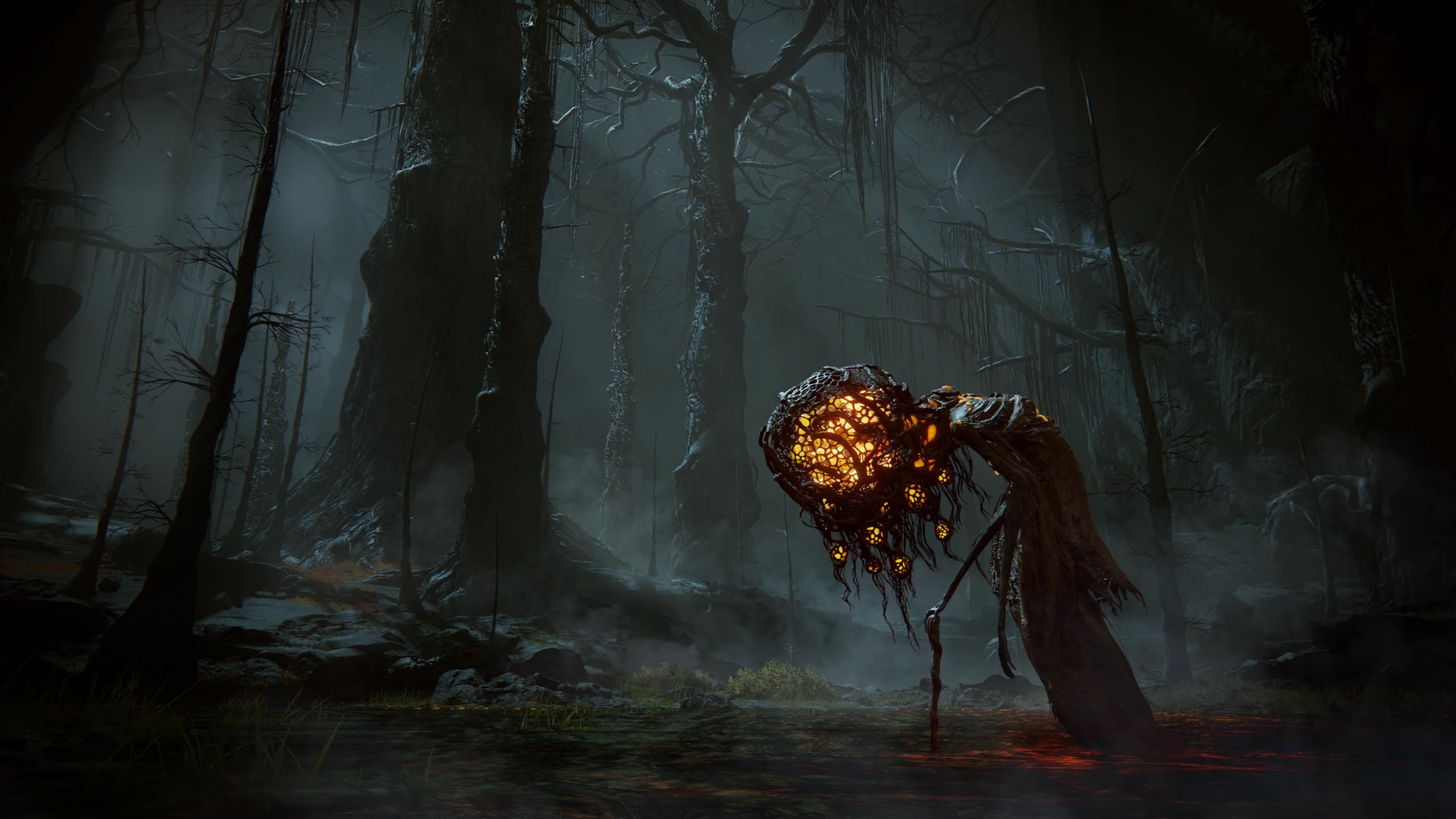 Elden Ring Shadow of the Erdtree Edition - PS5 3