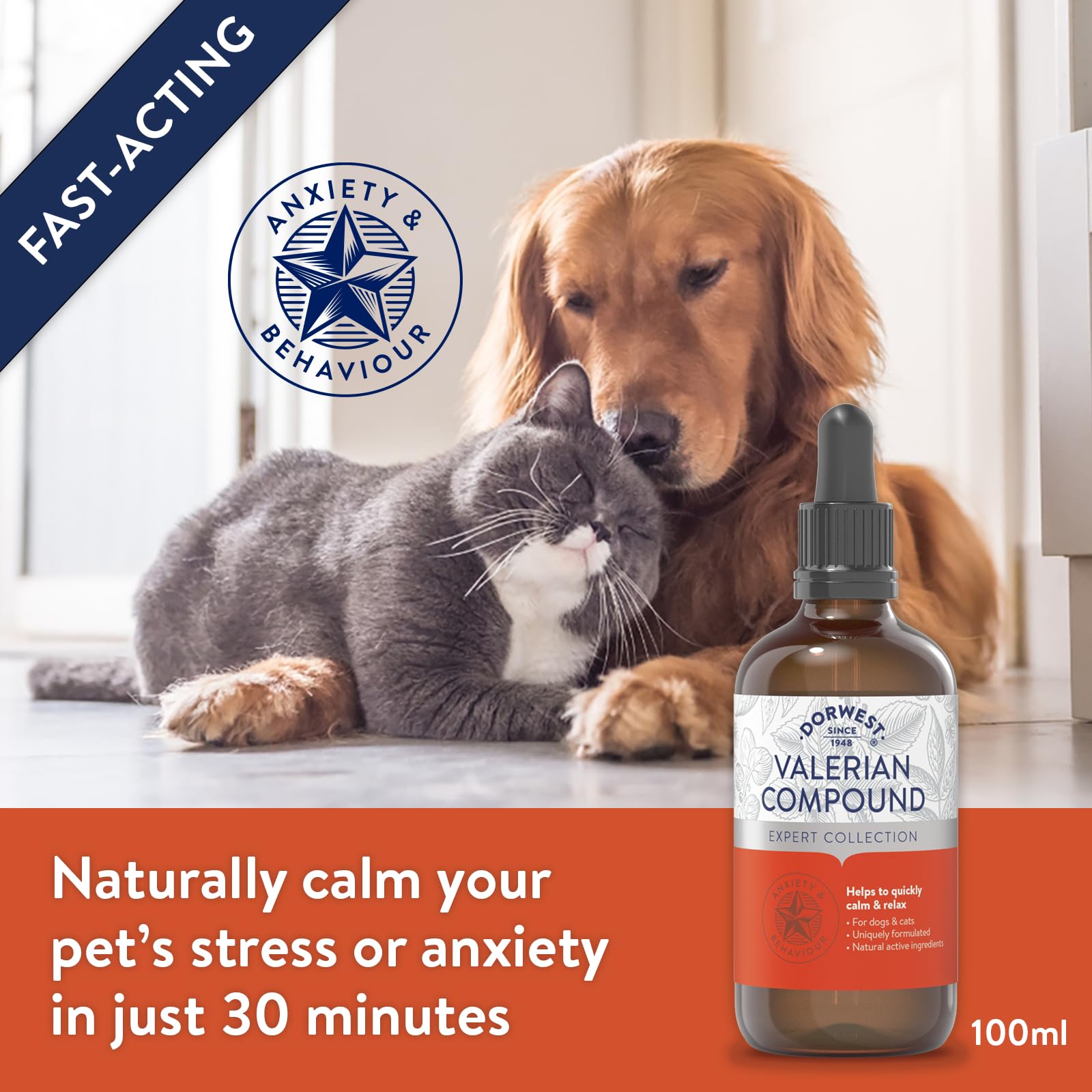DORWEST HERBS Valerian Compound for Dogs and Cats - Fast-Acting Calming Liquid | 100 ml 2