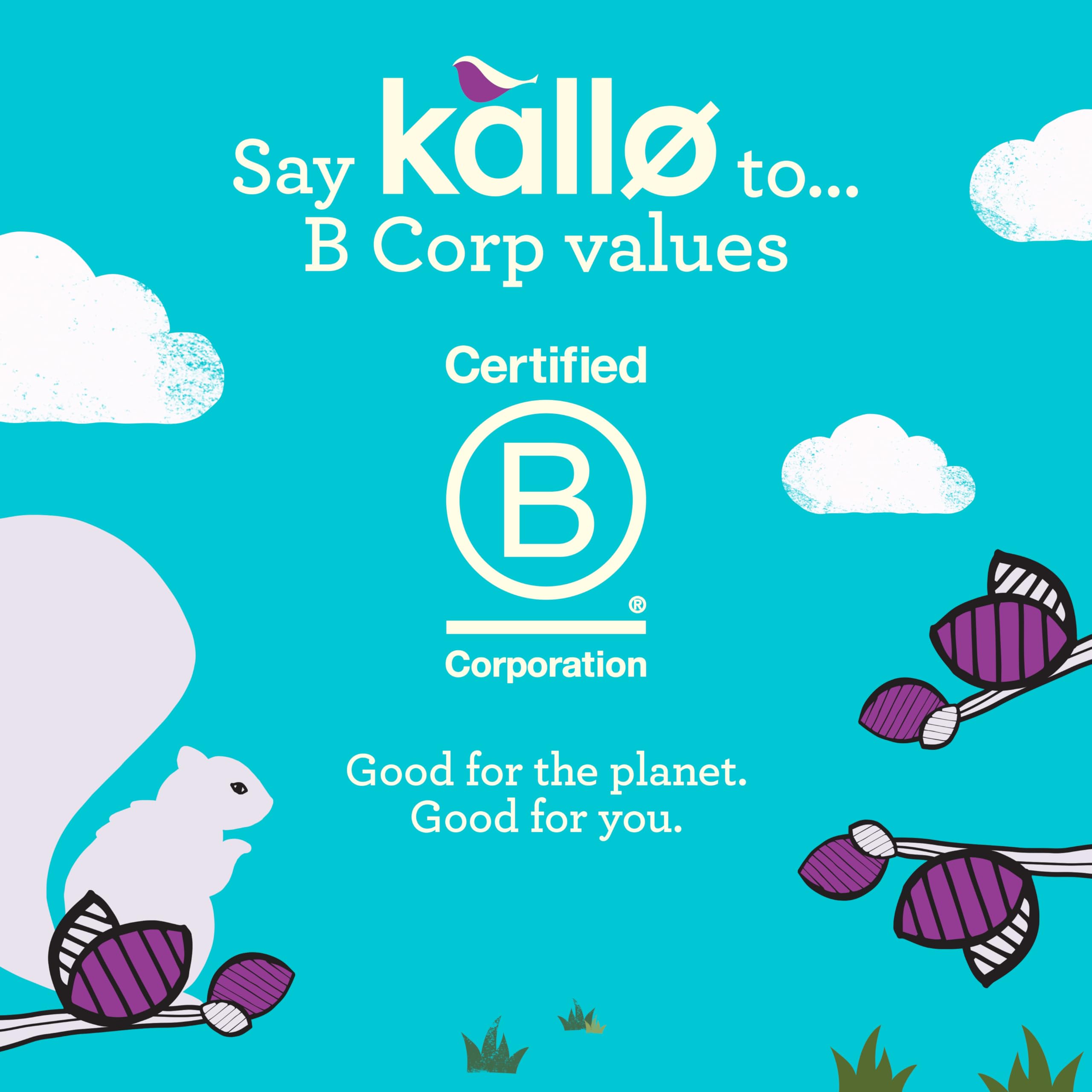 Kallo Organic Belgian Milk Chocolate Thins - Gluten Free Rice Cake | 75 g 6