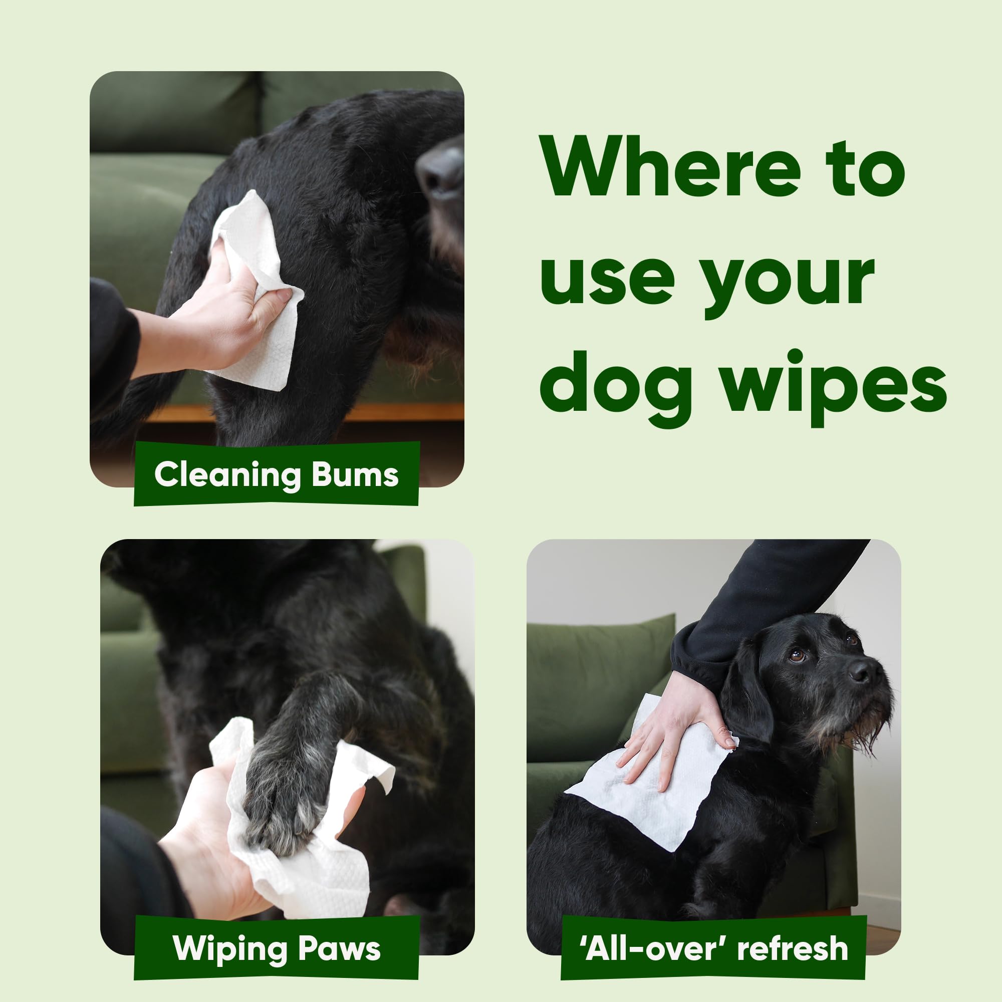 Beco Dog Wipes - Coconut Scented, Hypoallergenic, 6 Travel Packs of 20 Wipes 7