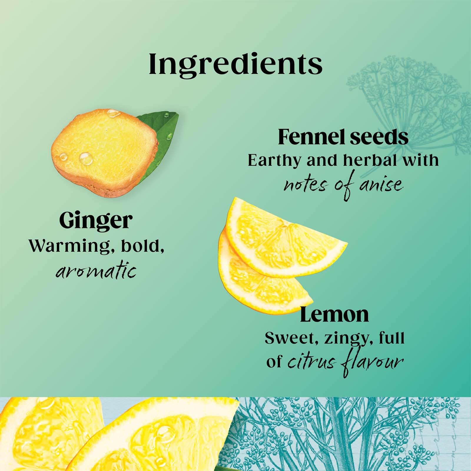 Twinings Detox Lemon Ginger & Burdock Root Herbal Tea Infusion with Fennel & Selenium, 80 Biodegradable Tea Bags 5