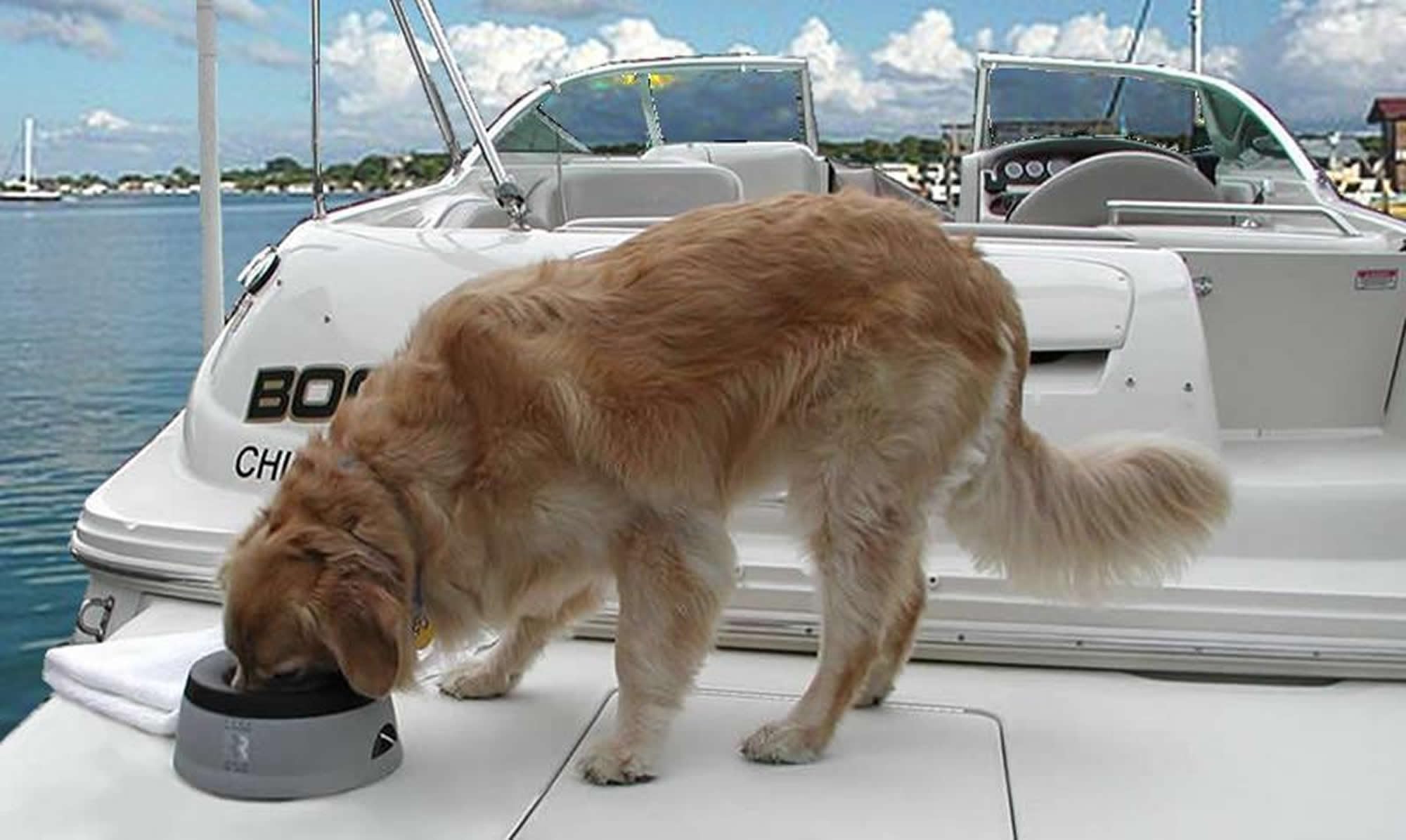 Road Refresher Non-Spill Pet Water Bowl - Large, Green | Heat Resistant Polypropylene