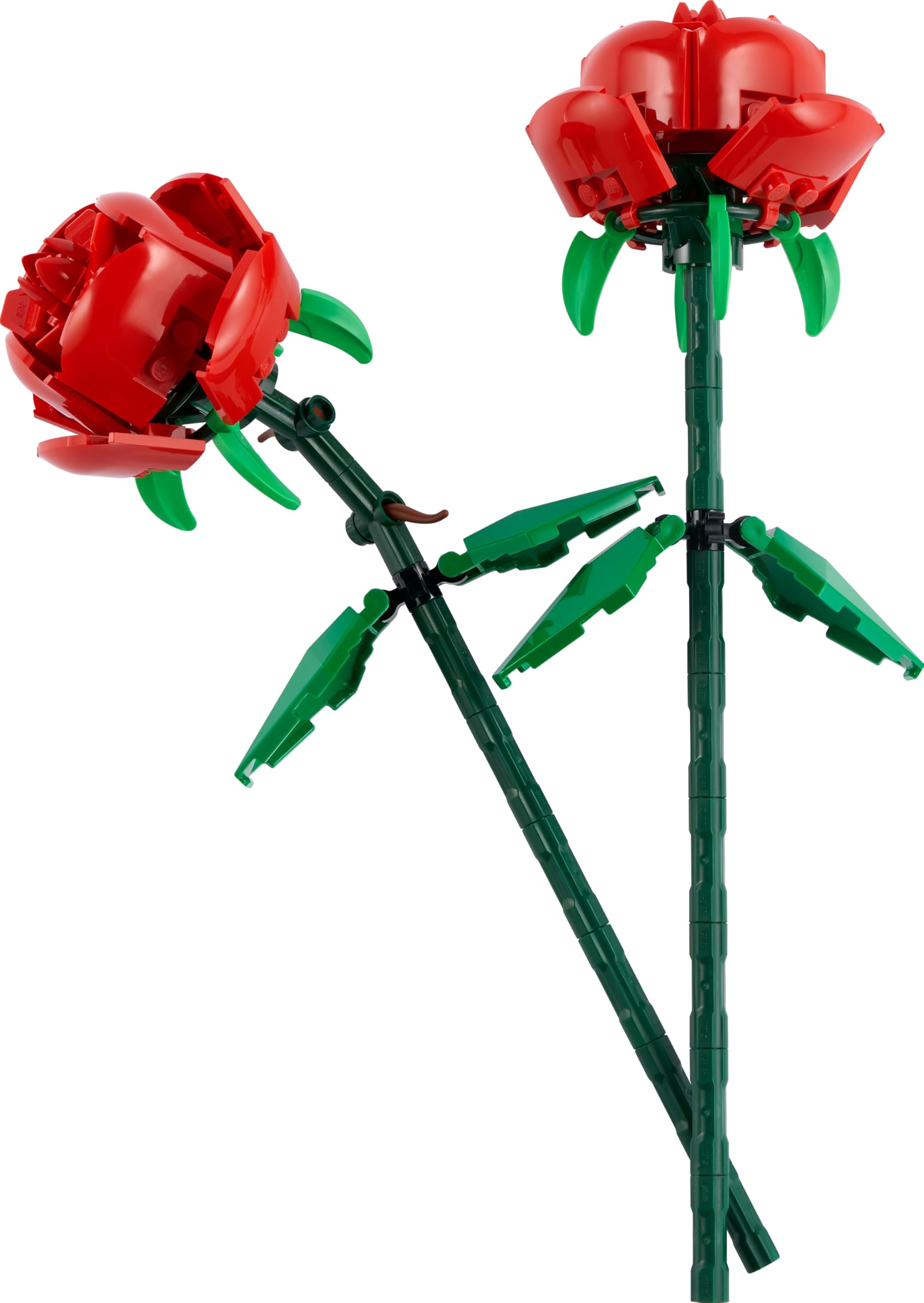 LEGO Botanicals Roses Building Set 40460 | 2 Red Blooms | Ages 8+ 8