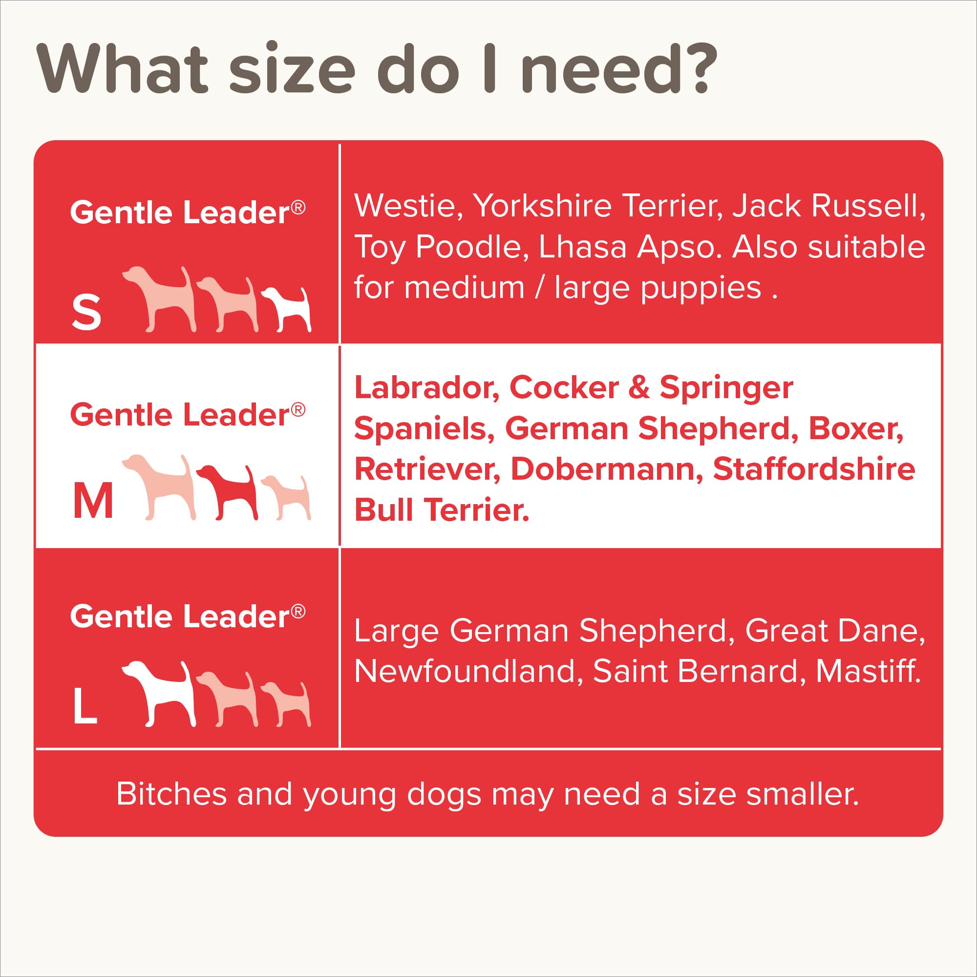 Beaphar Gentle Leader Head Collar - Medium Dog Training Aid for Stopping Pulling | Red 6