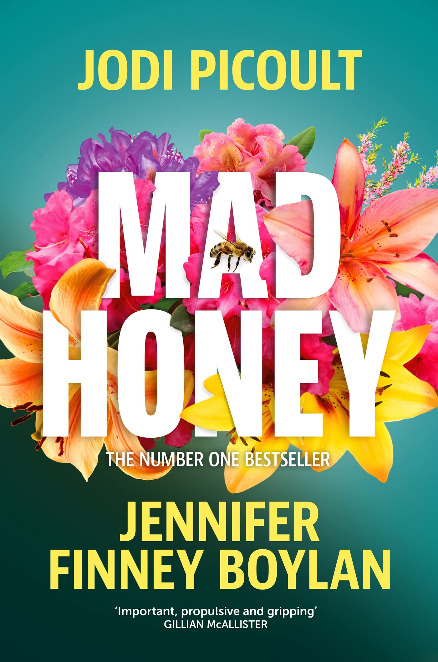 Mad Honey by Jennifer Finney Boylan & Jodi Picoult - Contemporary Fiction Paperback
