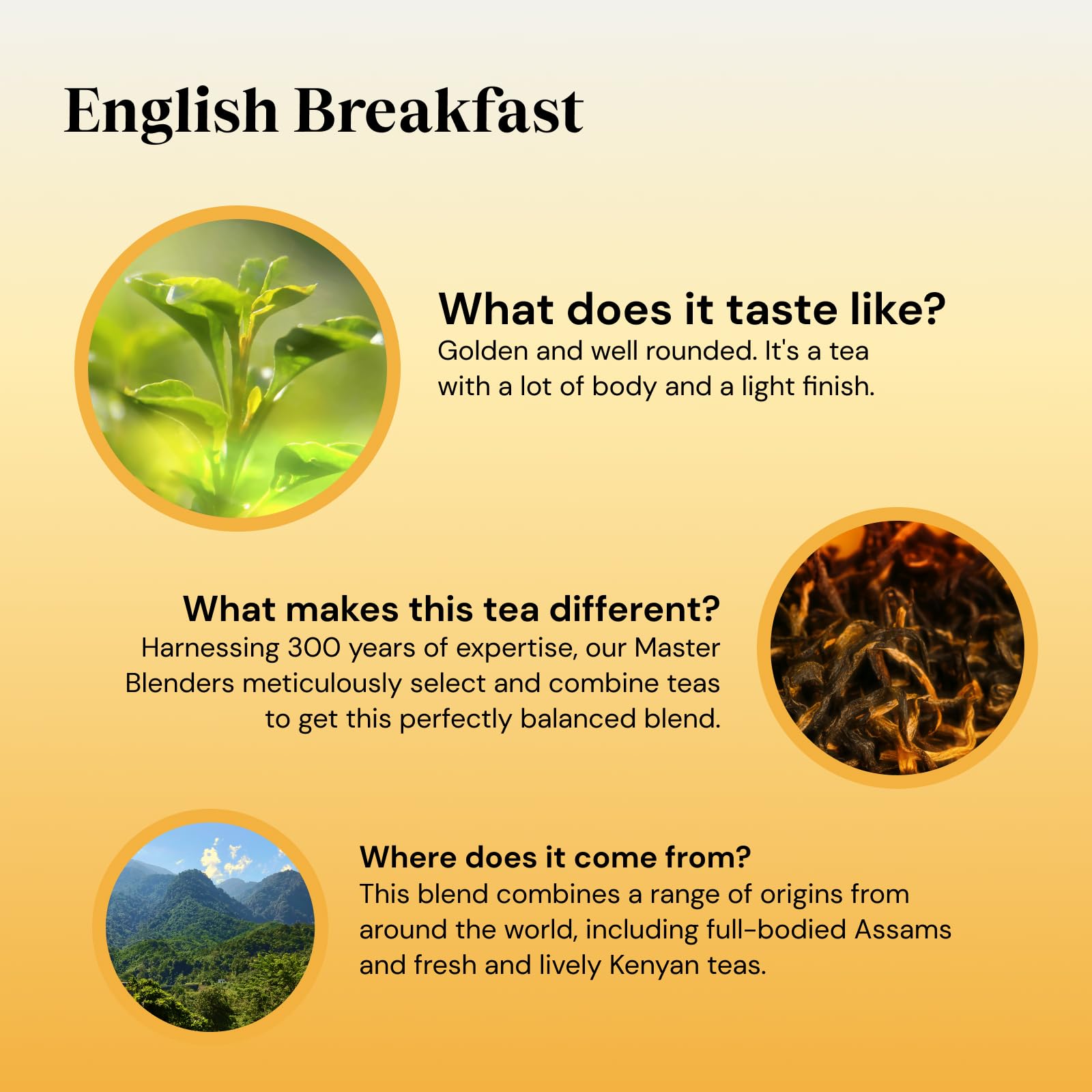 Twinings English Breakfast Black Tea Golden, Well Rounded & Full Bodied, 40 Biodegradable Tea Bags 6