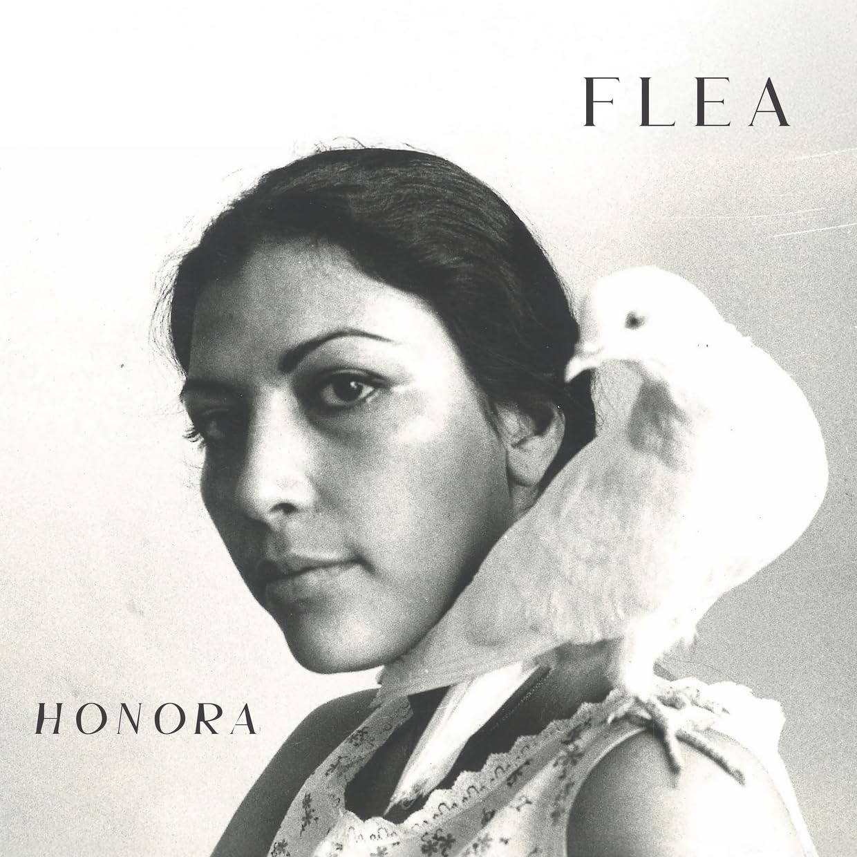 Honora 1