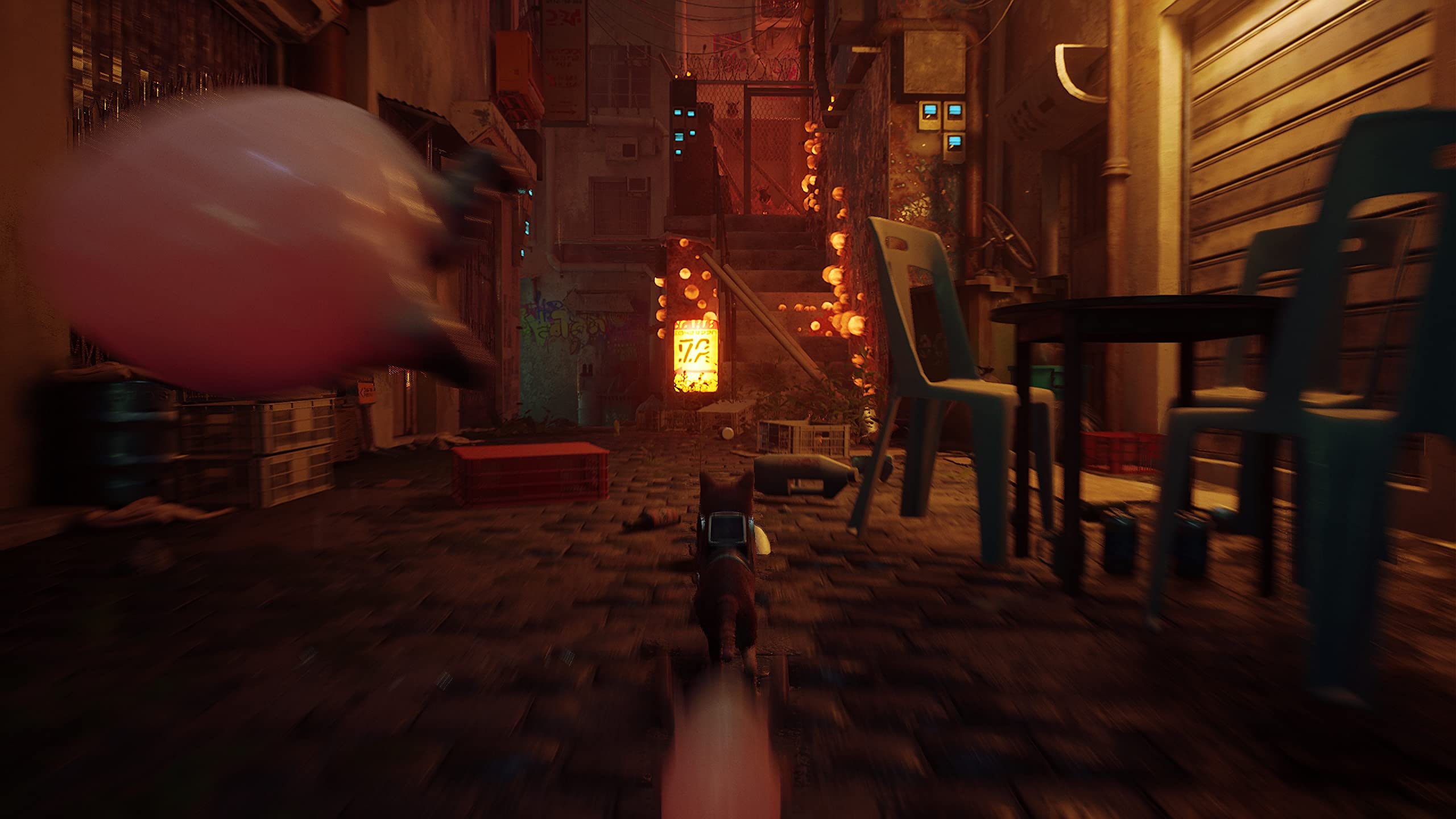 Stray - PlayStation 5 Physical Edition 8