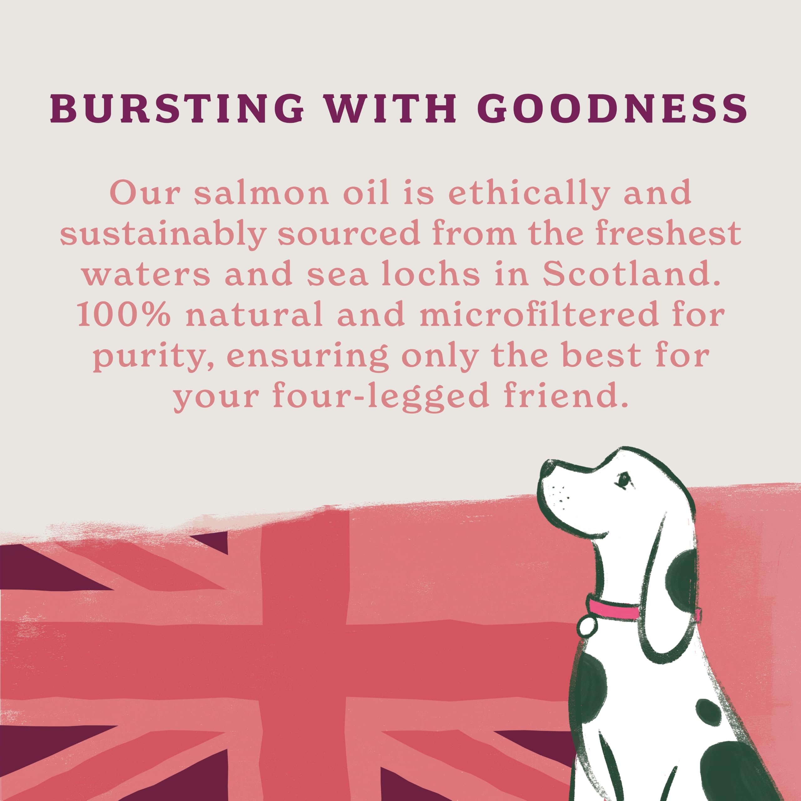 Forthglade Scottish Salmon Oil for Dogs - 100% Natural Omega 3, 6, 9 | 500ml Bottle 2