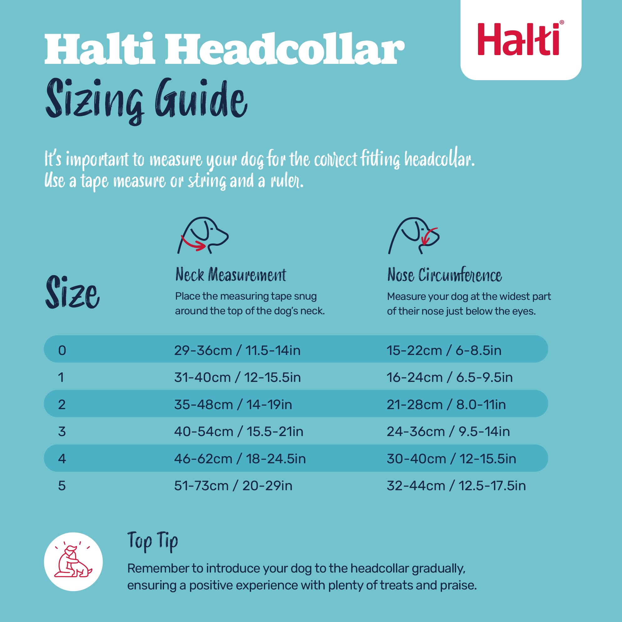 Halti Headcollar - Stop Pulling on Lead | Size 3 Black | Padded Nose Band | Reflective 5