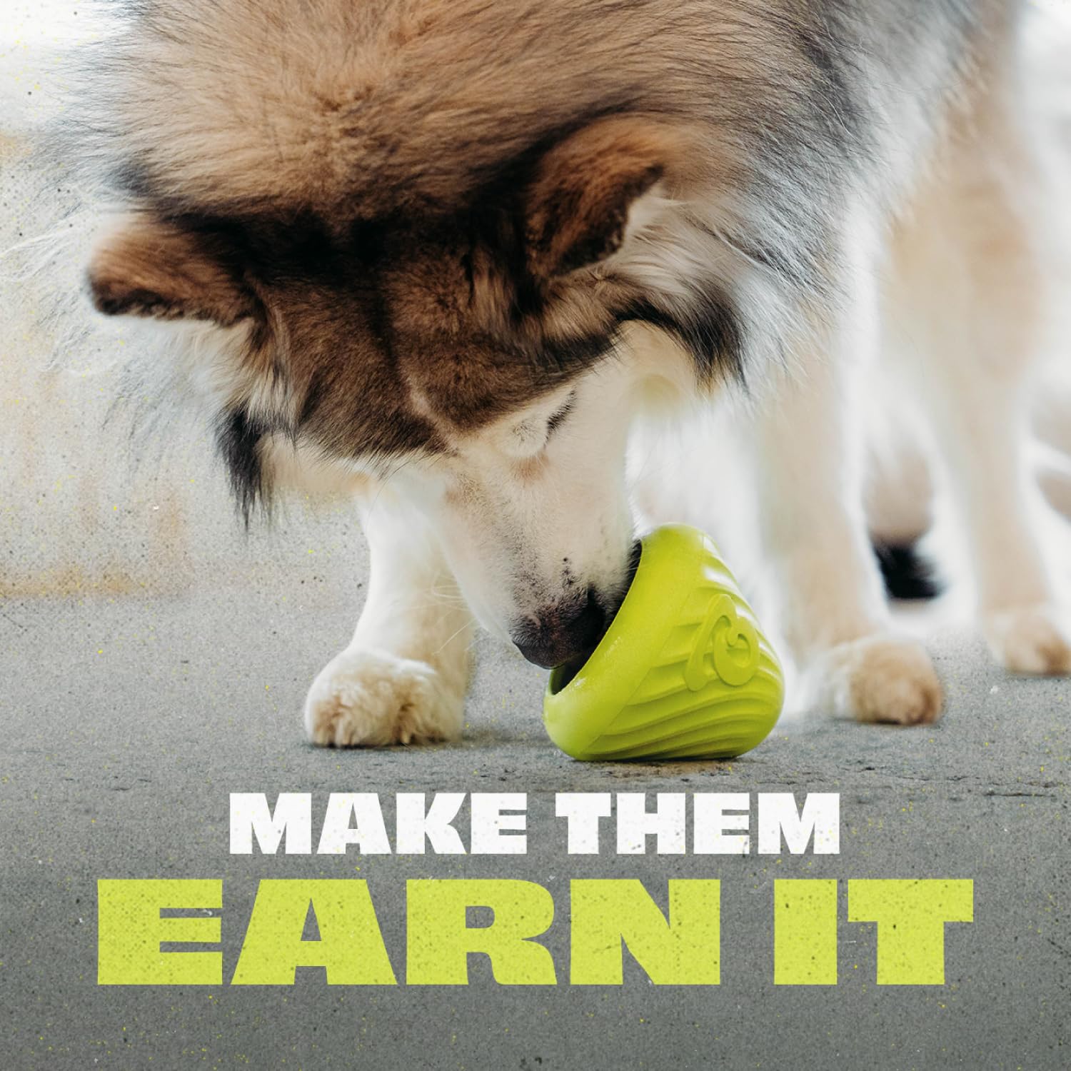 Benebone Natural Rubber Cone Interactive Treat Dispensing Dog Toy | Green | Water Resistant