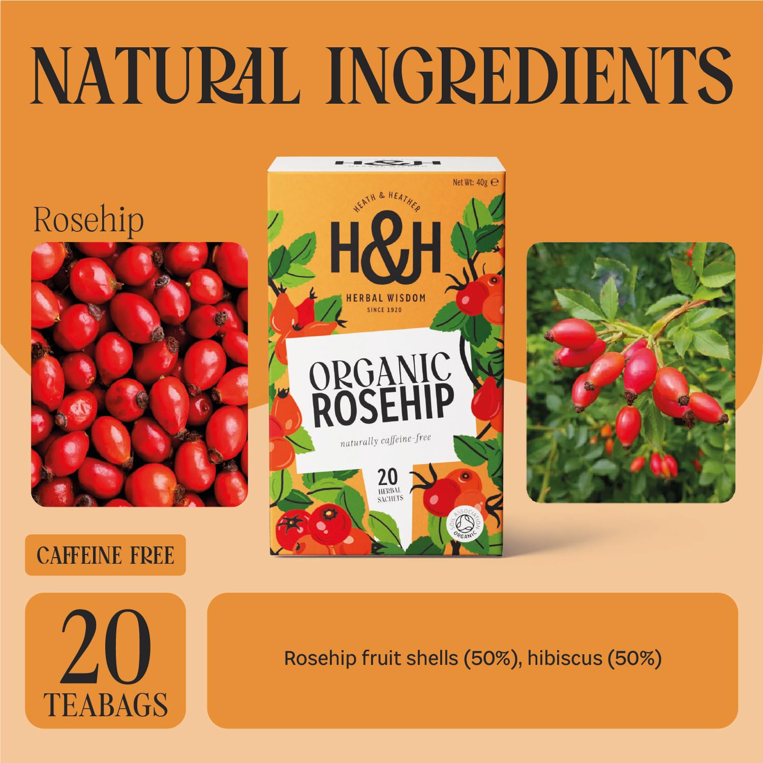 Heath & Heather Organic Rosehip Tea - Immune Support & Tart Fruity Infusion | 20 Count