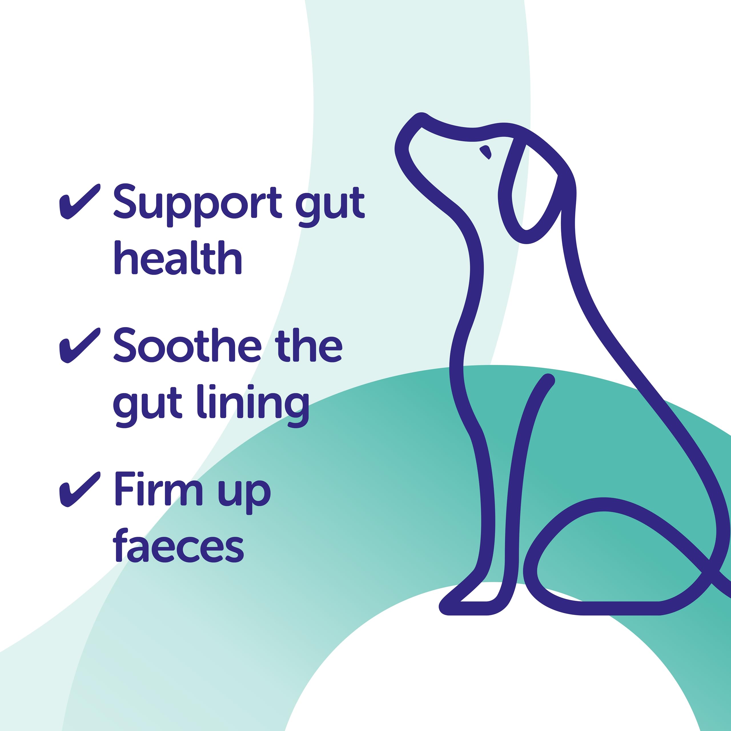 Protexin Veterinary Pro-Kolin Advanced for Dogs - Digestive Balance & Firm Stool Support | 60 ml 2