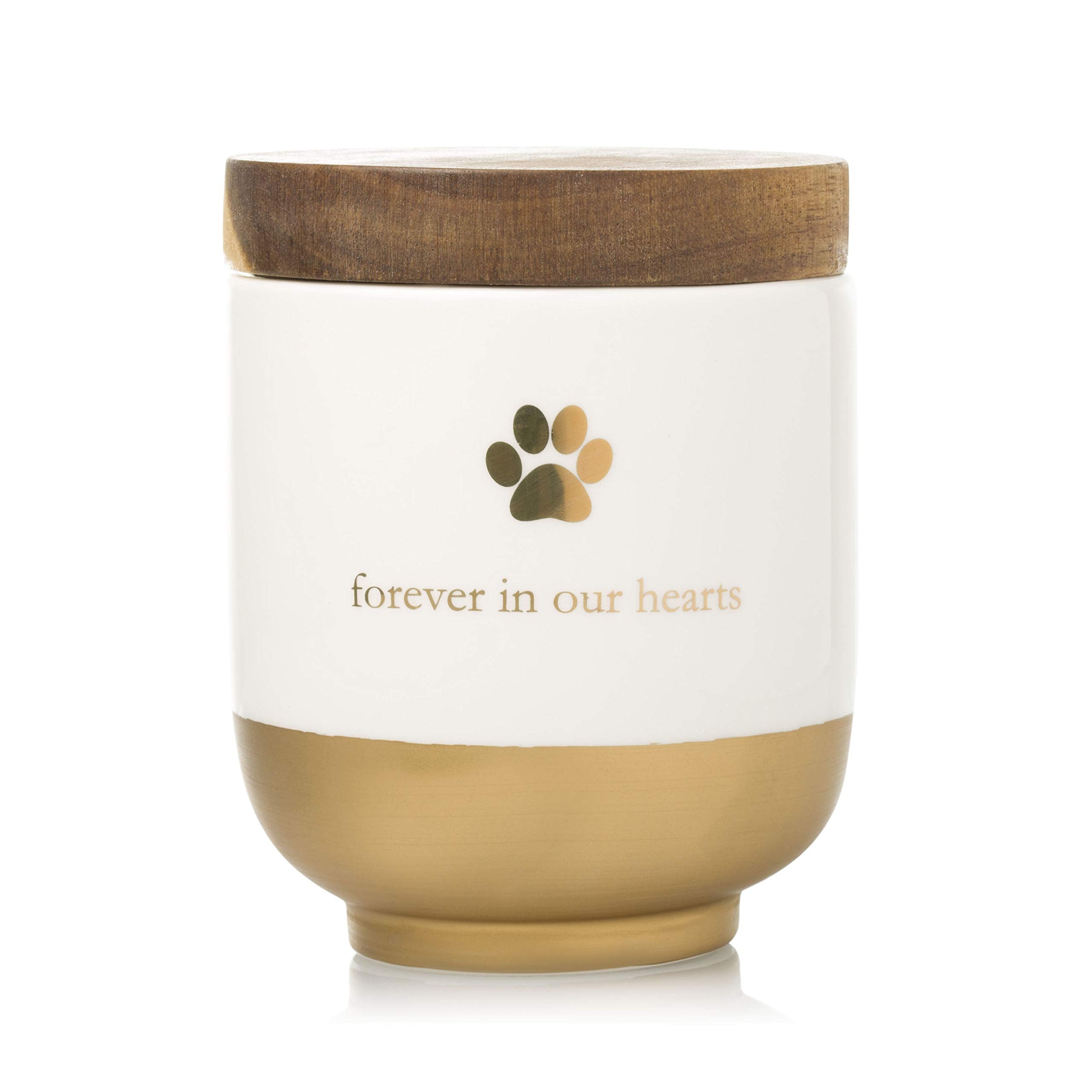 Pearhead Pet Ceramic Forever in Our Hearts Urn | Gold Accent | Fits Pets up to 45lbs