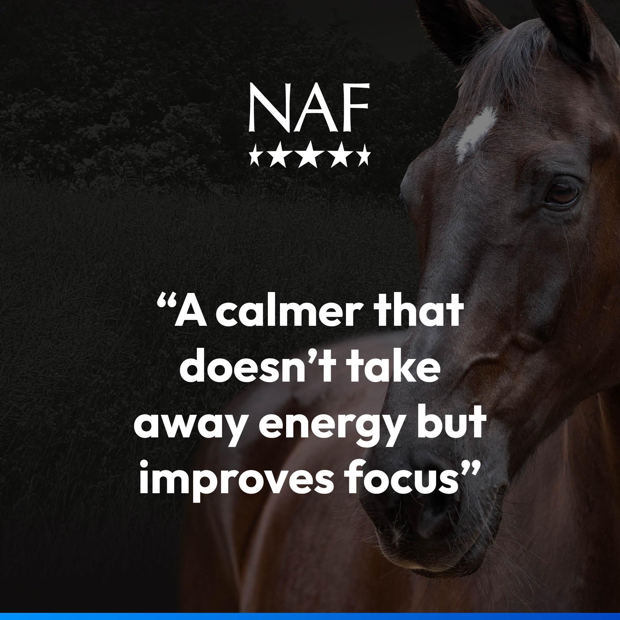 NAF Five Star Magic Liquid - Calming Supplement for Horses | 1L | Magnesium & Herbal Extracts 3