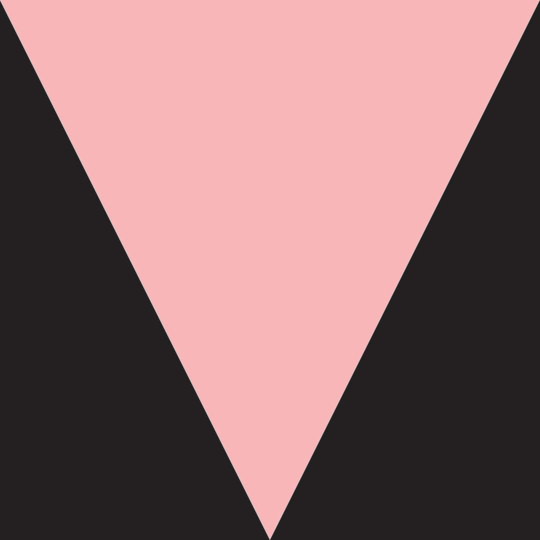 Meshell Ndegeocello - Ventriloquism [Audio CD]