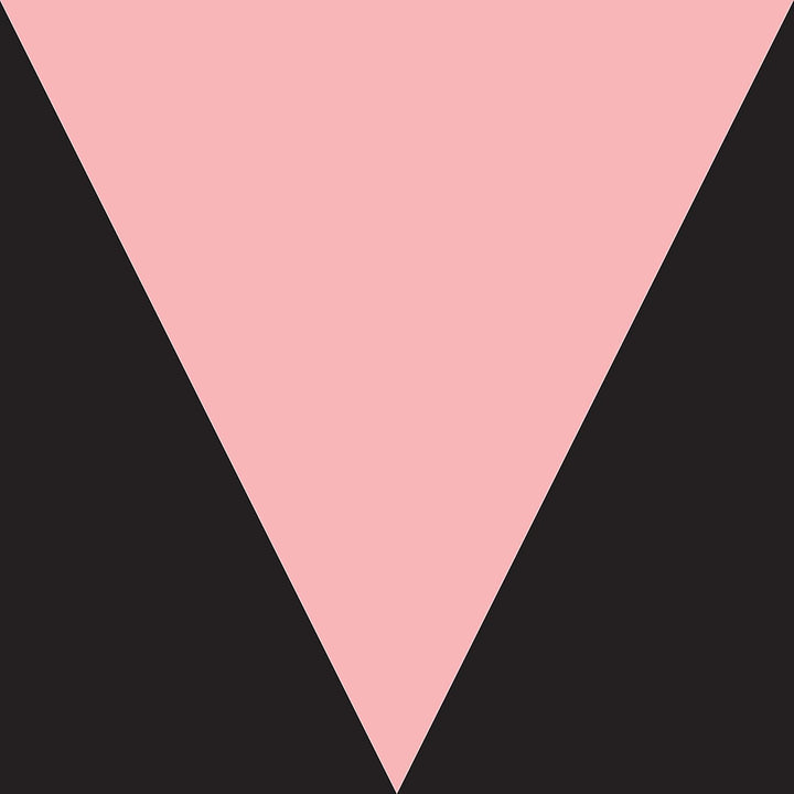 Meshell Ndegeocello - Ventriloquism [Audio CD]