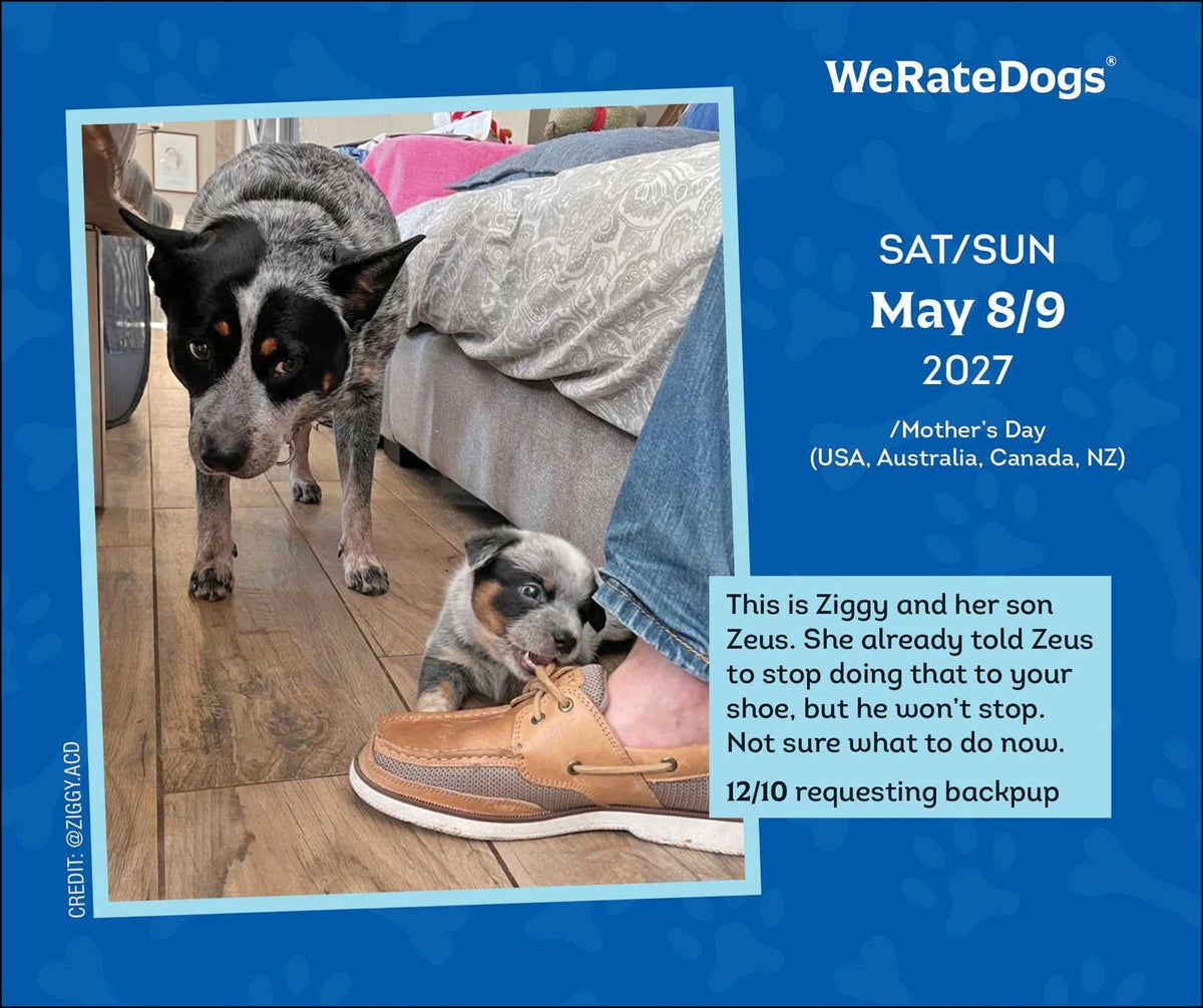 WeRateDogs 2027 Day-to-Day Calendar - English, 640 Pages