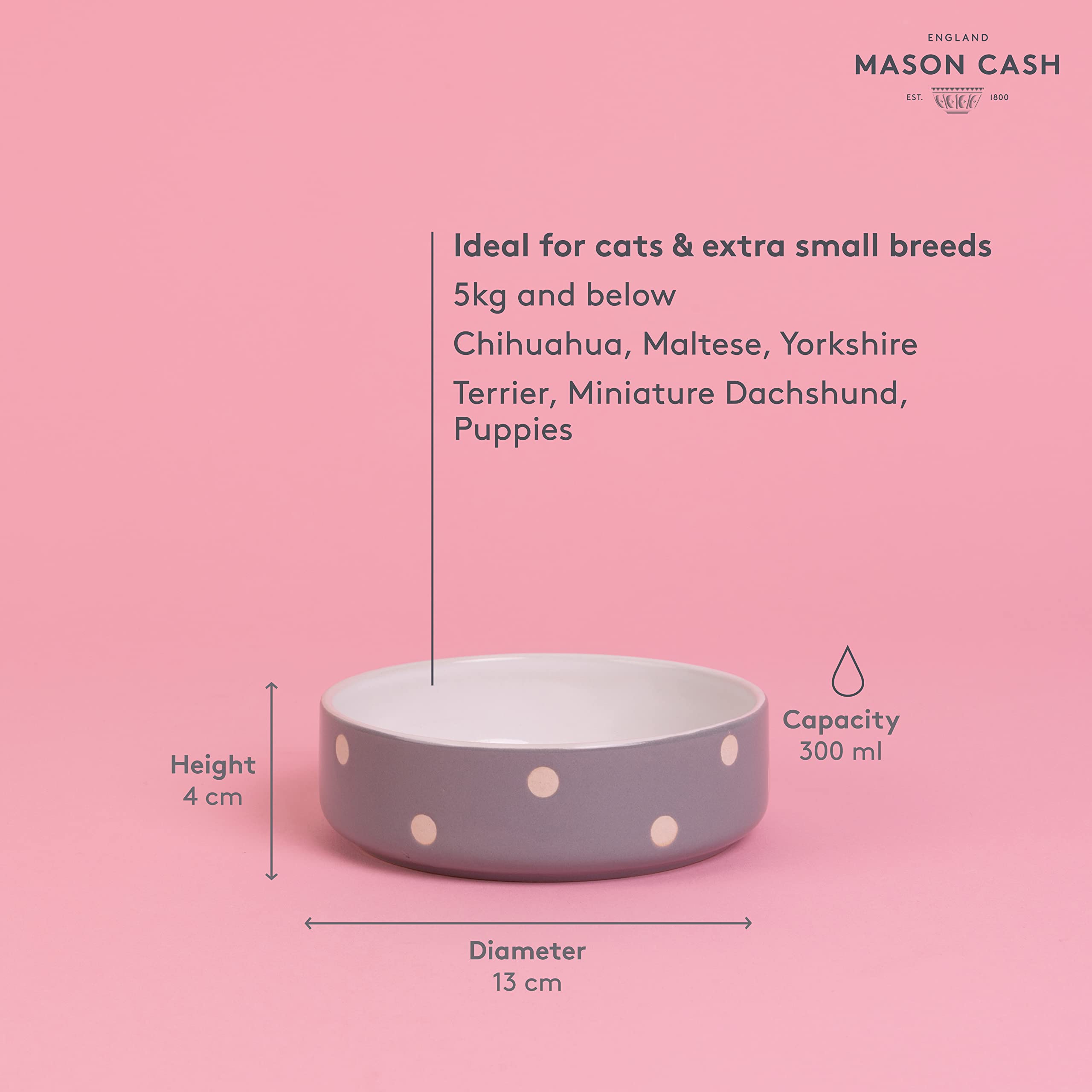 Mason Cash Polka Dot Pet Bowl - Grey, 13 cm | Dishwasher Safe | For Wet/Dry Food & Water 4