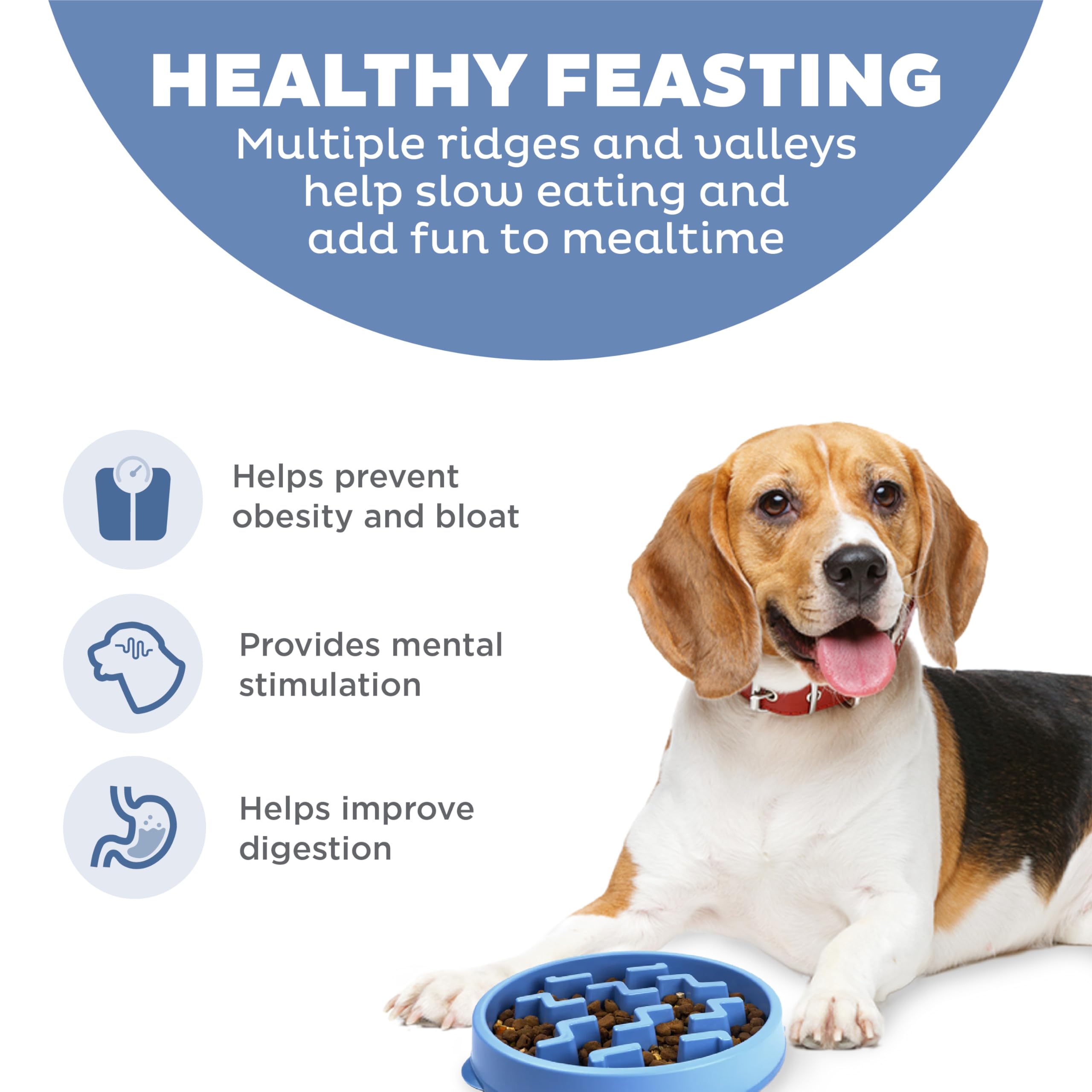 Outward Hound Slow Feeder Dog Bowl - Reduces Bloat, Improves Digestion | Medium, Blue 2