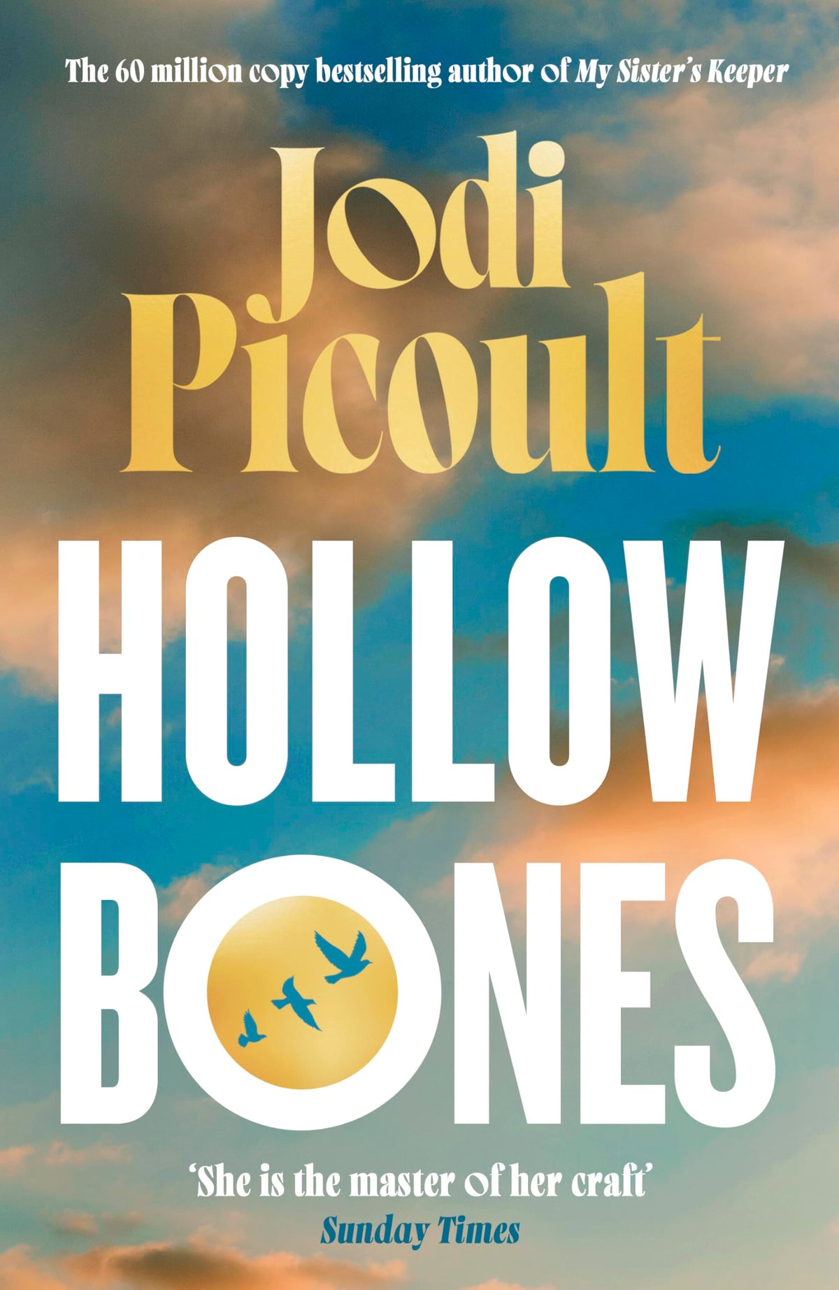 Jodi Picoult Hollow Bones Hardcover Novel - 464 Pages