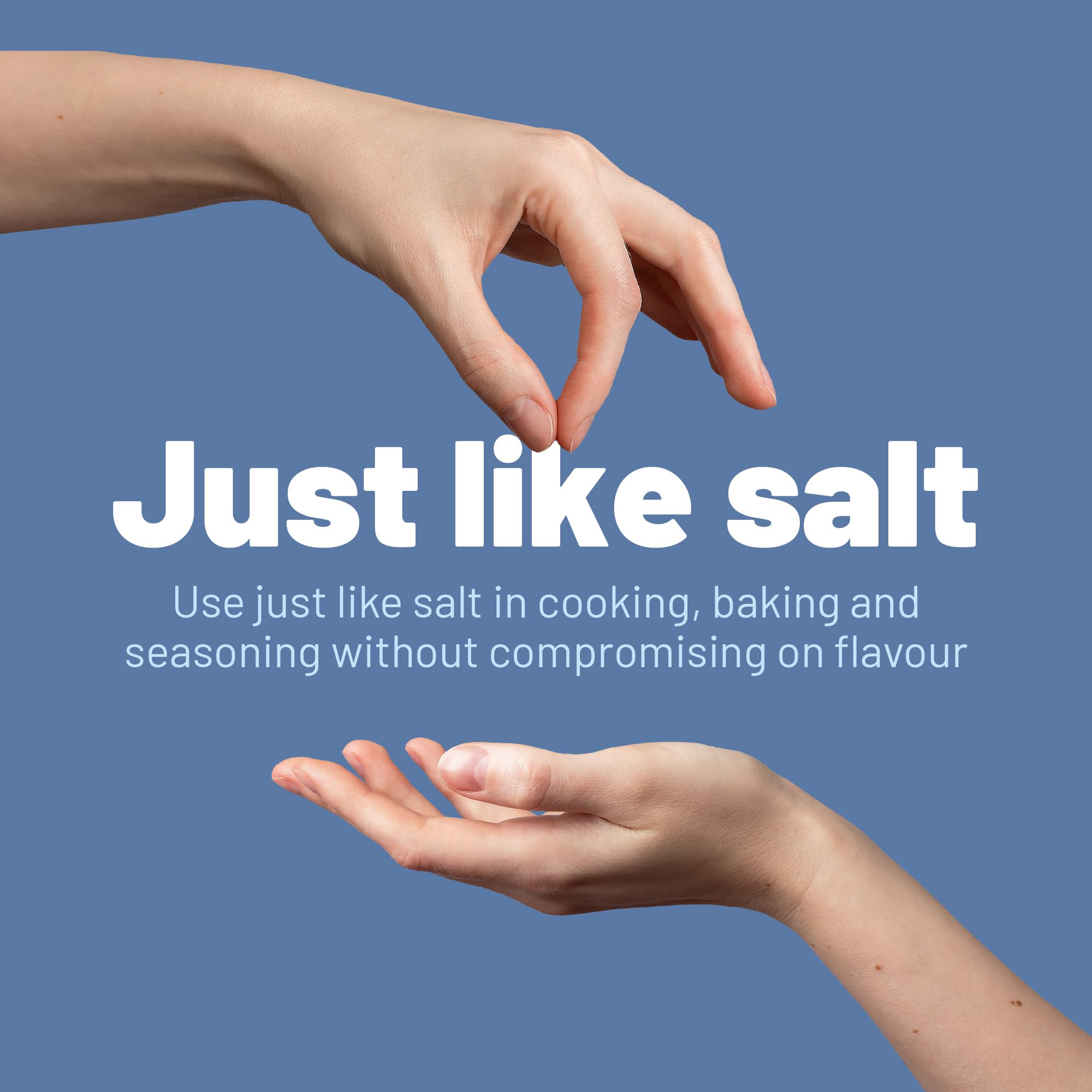 LoSalt 1g Sachet (Pack of 1000) - Low Sodium Salt Alternative with Potassium Chloride 3