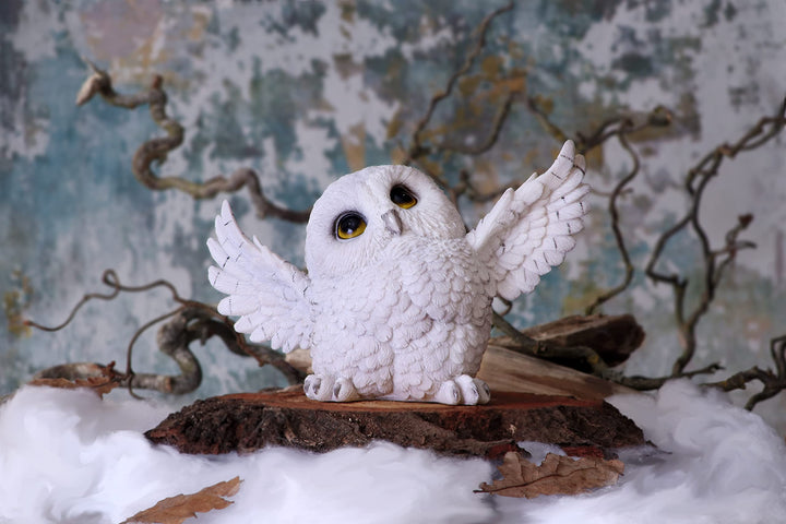 Nemesis Now Snowy Delight - Owl Figurine in White Resin