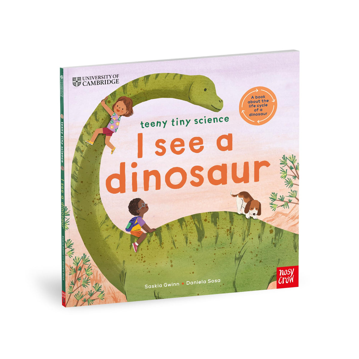 Nosy Crow Teeny Tiny Science: I See a Dinosaur Picture Book - Ages 2-5 | Paperback | 32 Pages