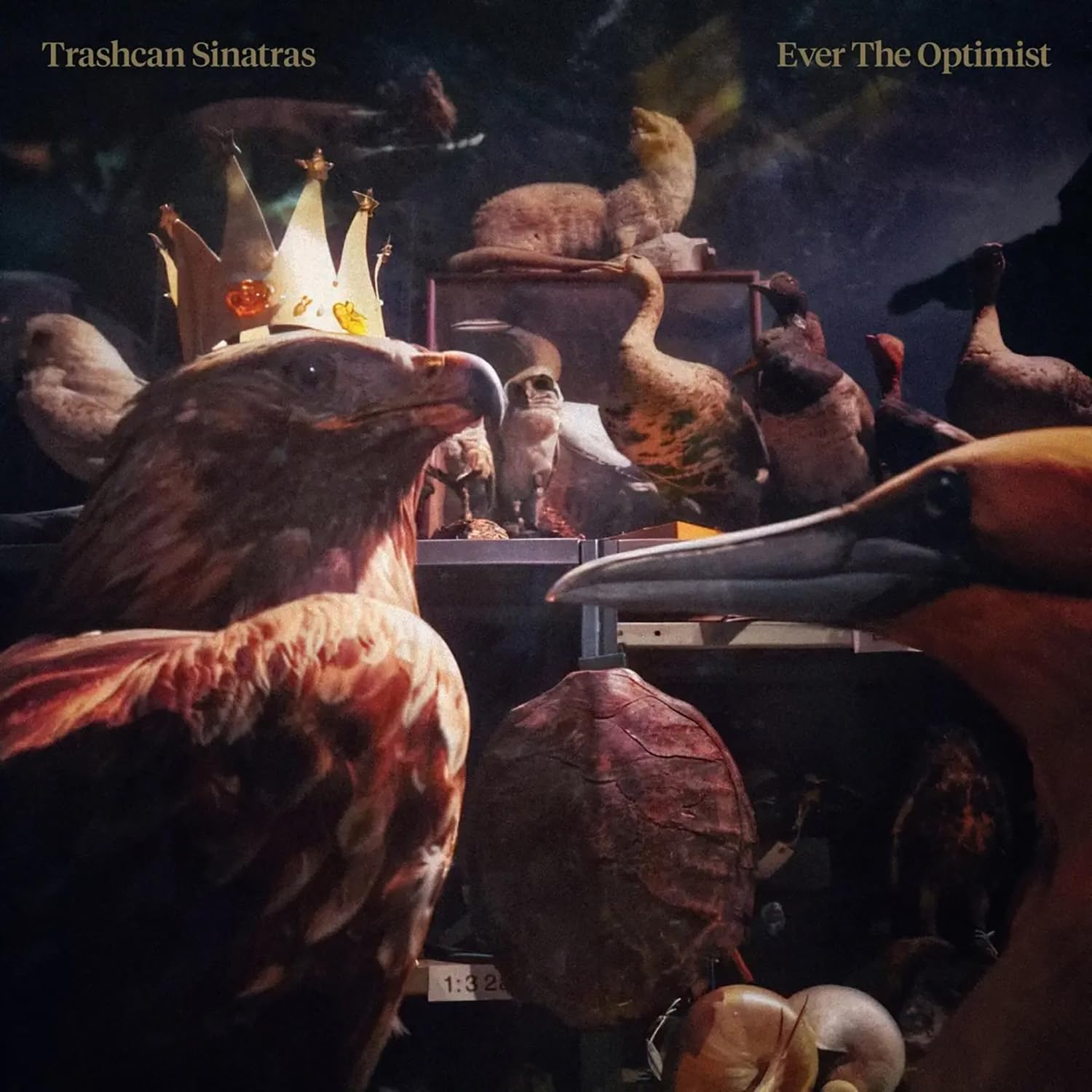 TRASHCAN SINATRAS - EVER THE OPTIMIST [CD]