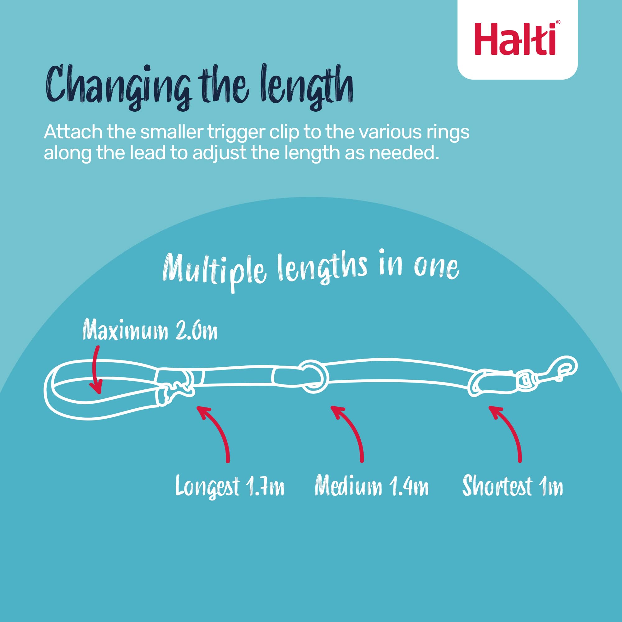 Halti Training Lead - Versatile & Durable Dog Training Lead | Purple, Small, 2m 2