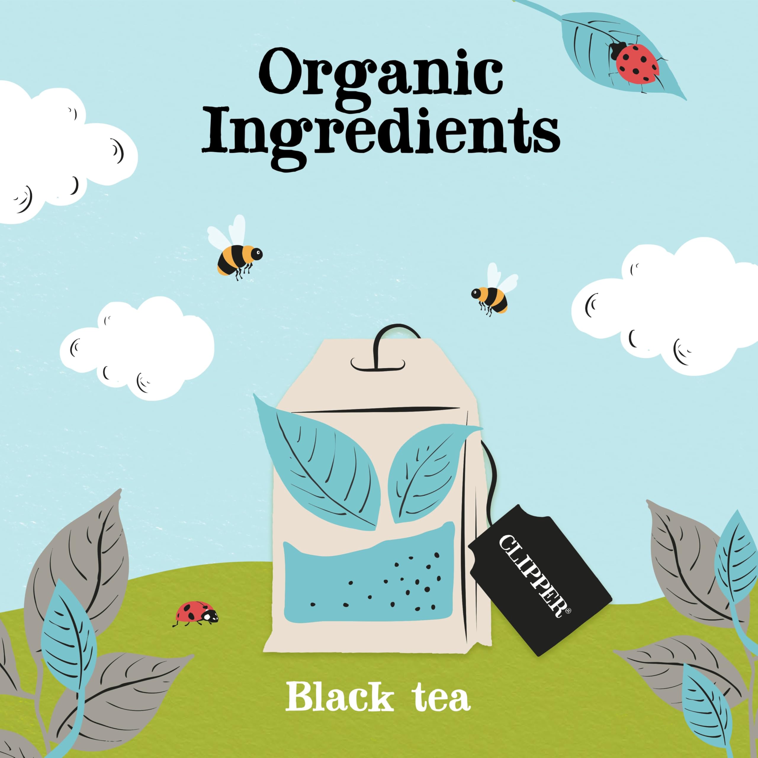 Clipper Organic Earl Grey Tea Bags - Fairtrade & Biodegradable | 250 Count 3