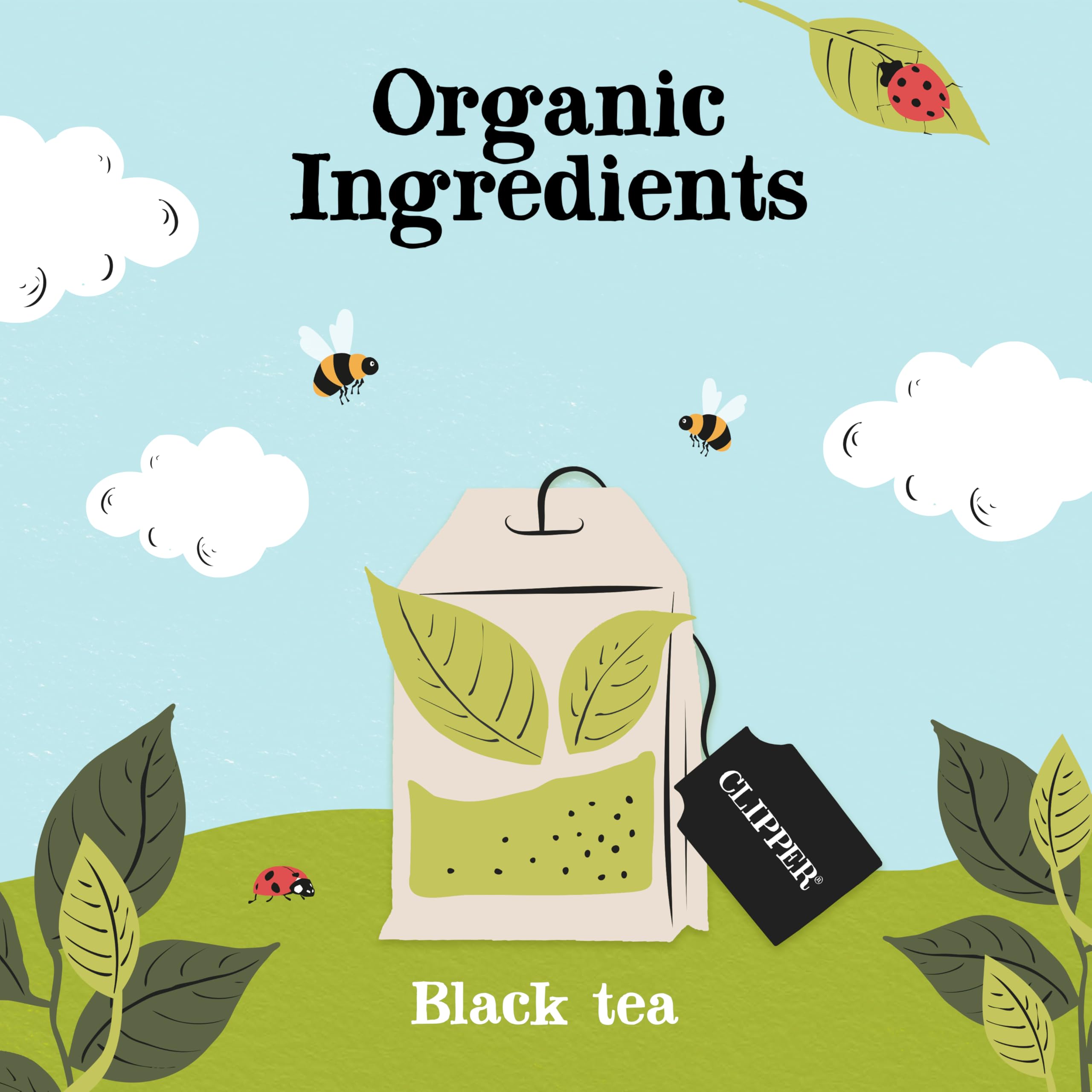 Clipper Fairtrade Organic Everyday 40 Unbleached Plastic-Free Tea Bags 5