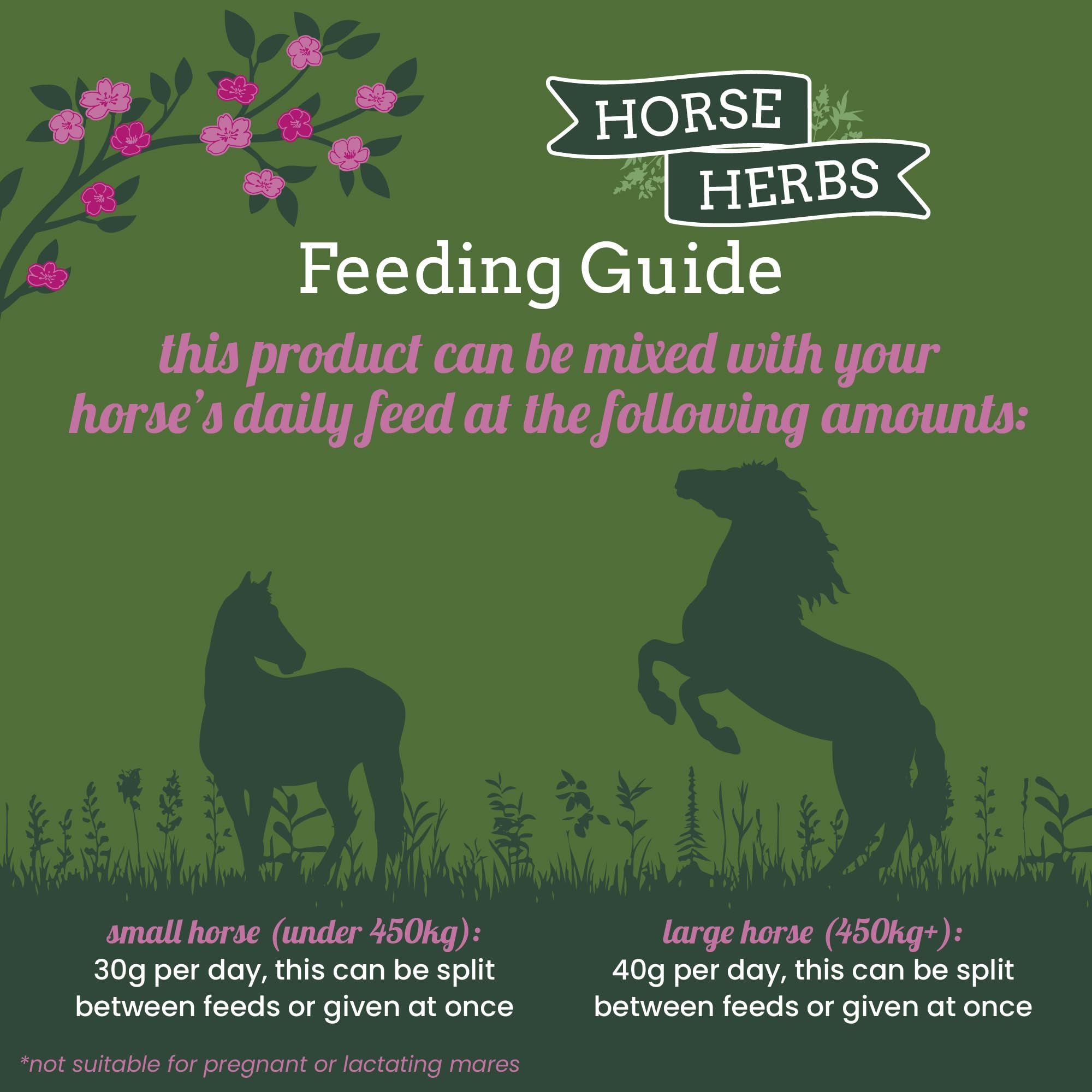 Horse Herbs Calming Mix - 1kg Natural Herbal Supplement for Horses
