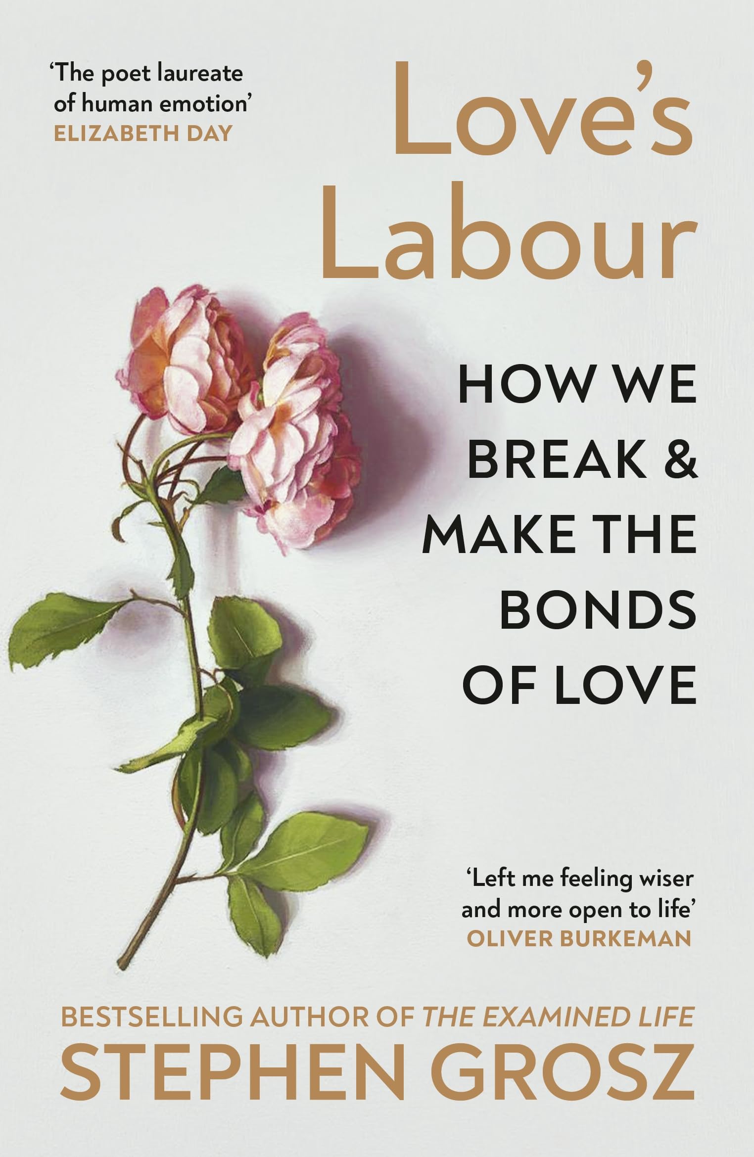 Vintage Love’s Labour by Stephen Grosz - Psychoanalysis Theory Paperback