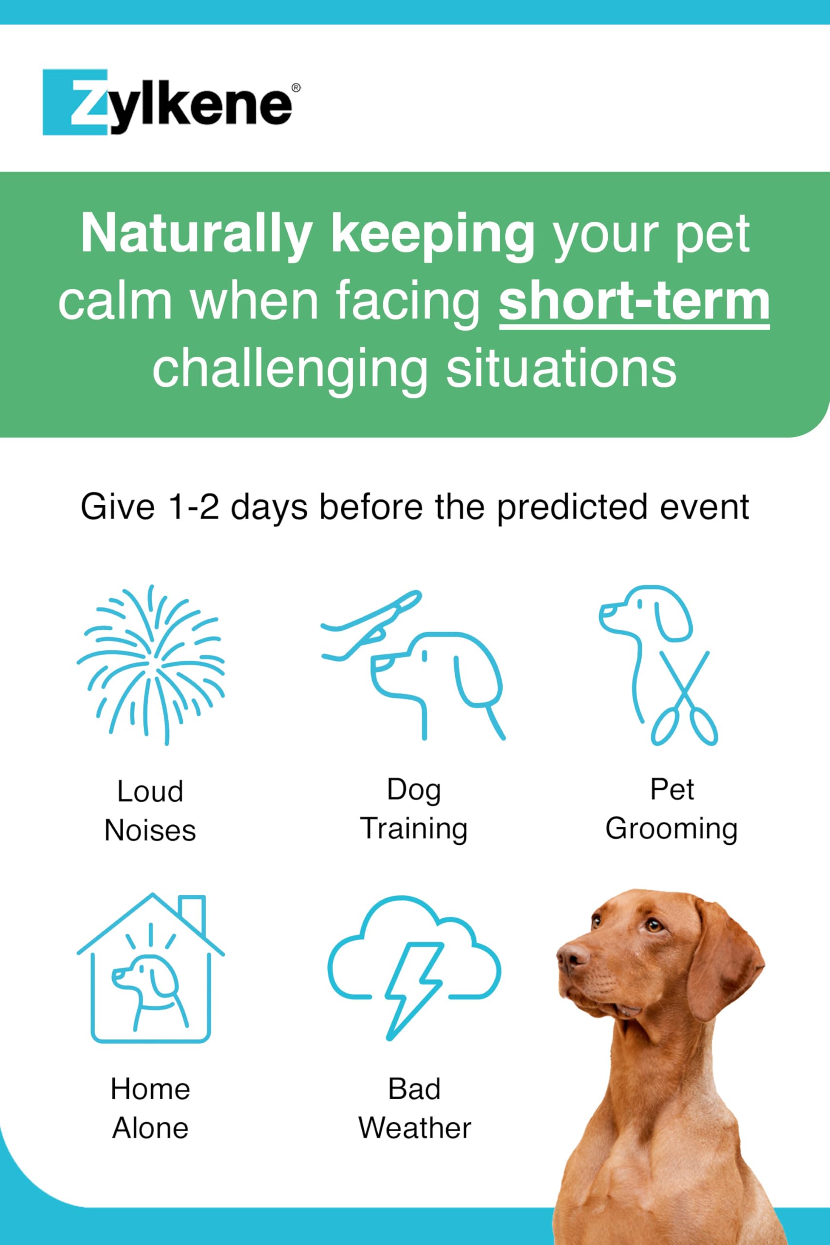 Zylkene Calming Chews for Medium Dogs (10 to 30kg) | Promotes Relaxation | 14 Chews 5